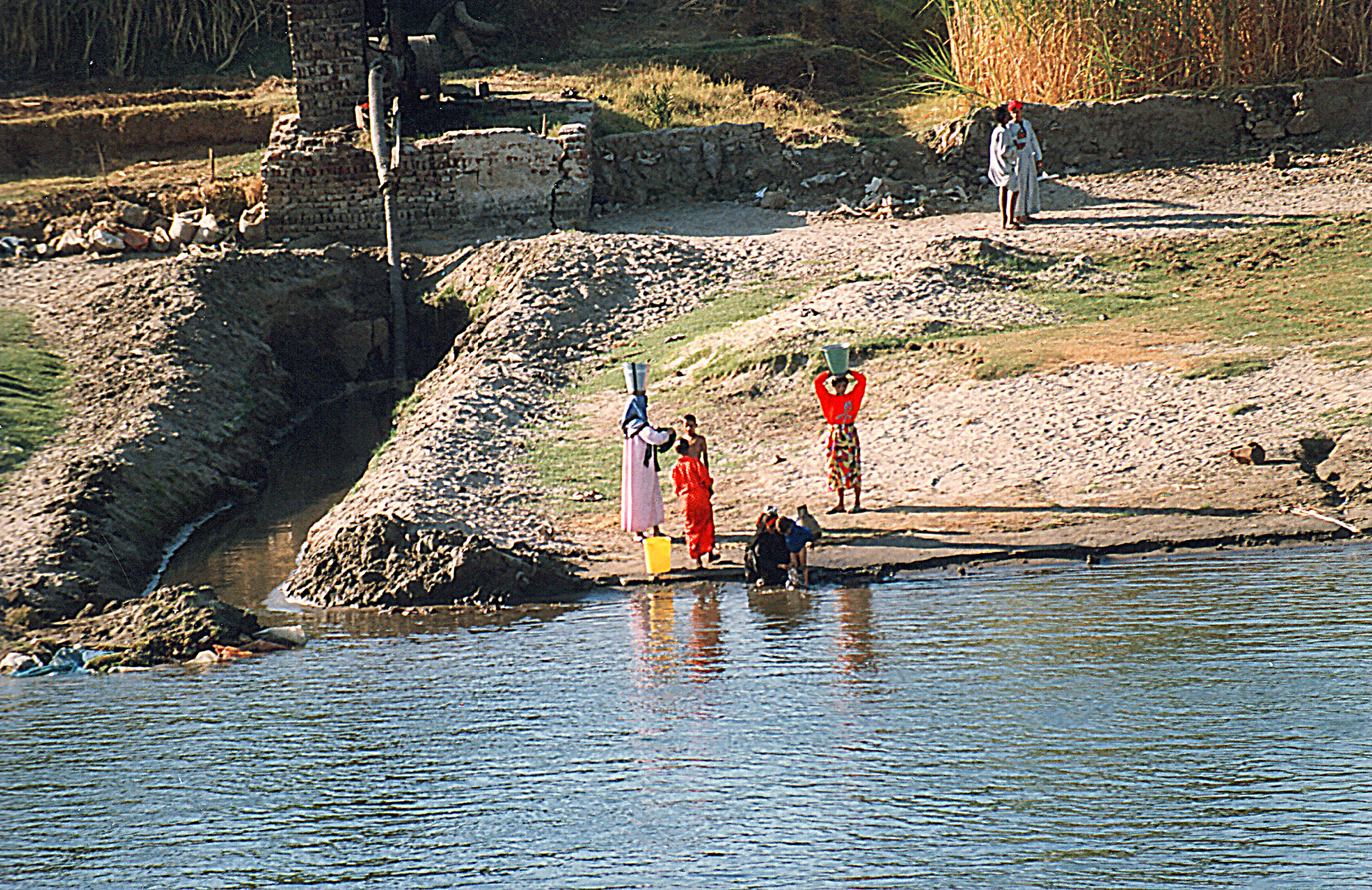 Egitto Nilo 1996 (Minolta 3xi-Sigma 70-210 f 1.4/5.6)