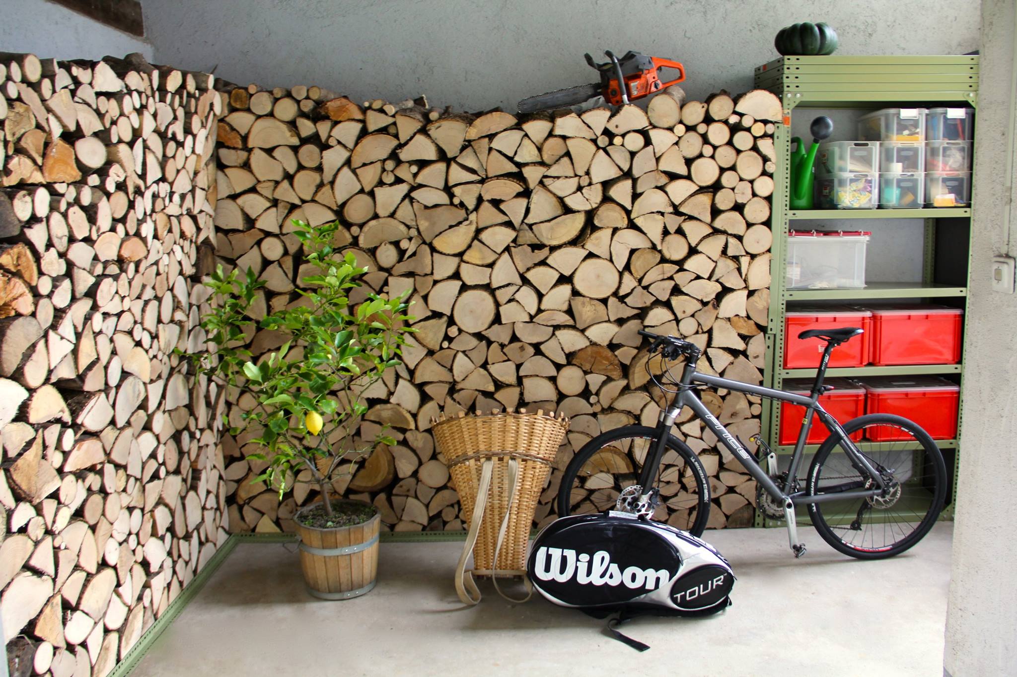 Waiting for winter in Sorte