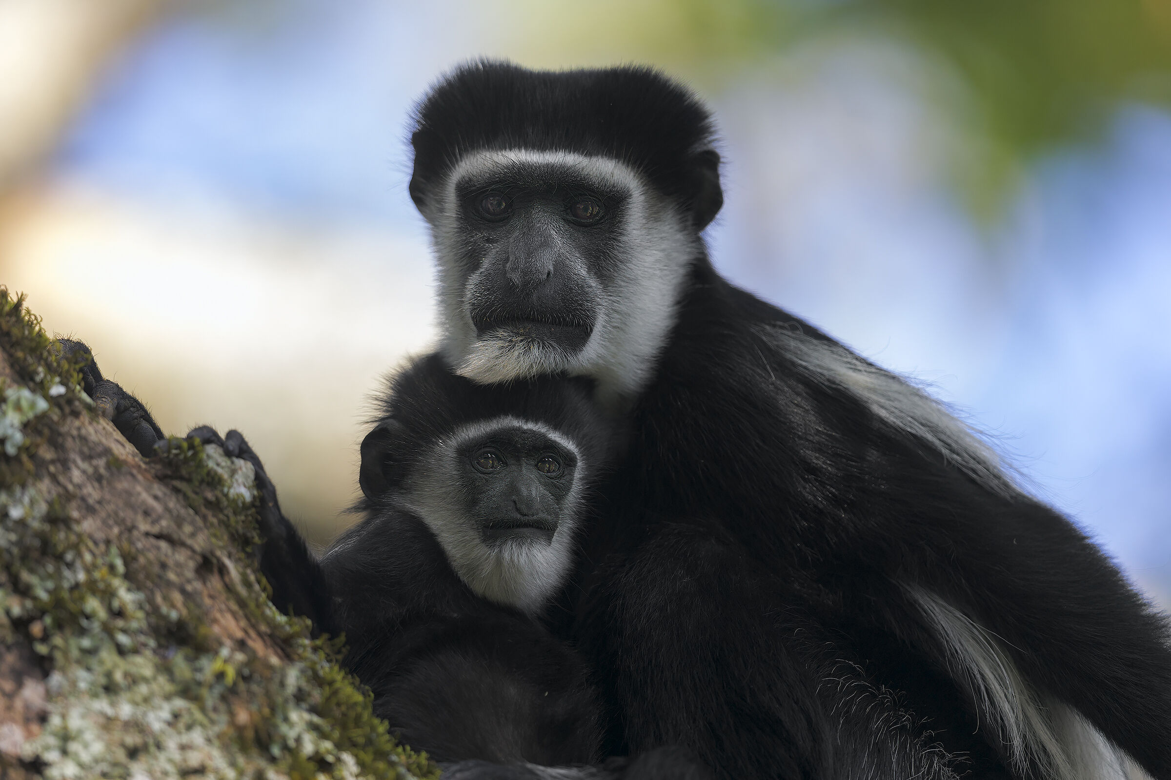 Quadretto di famiglia