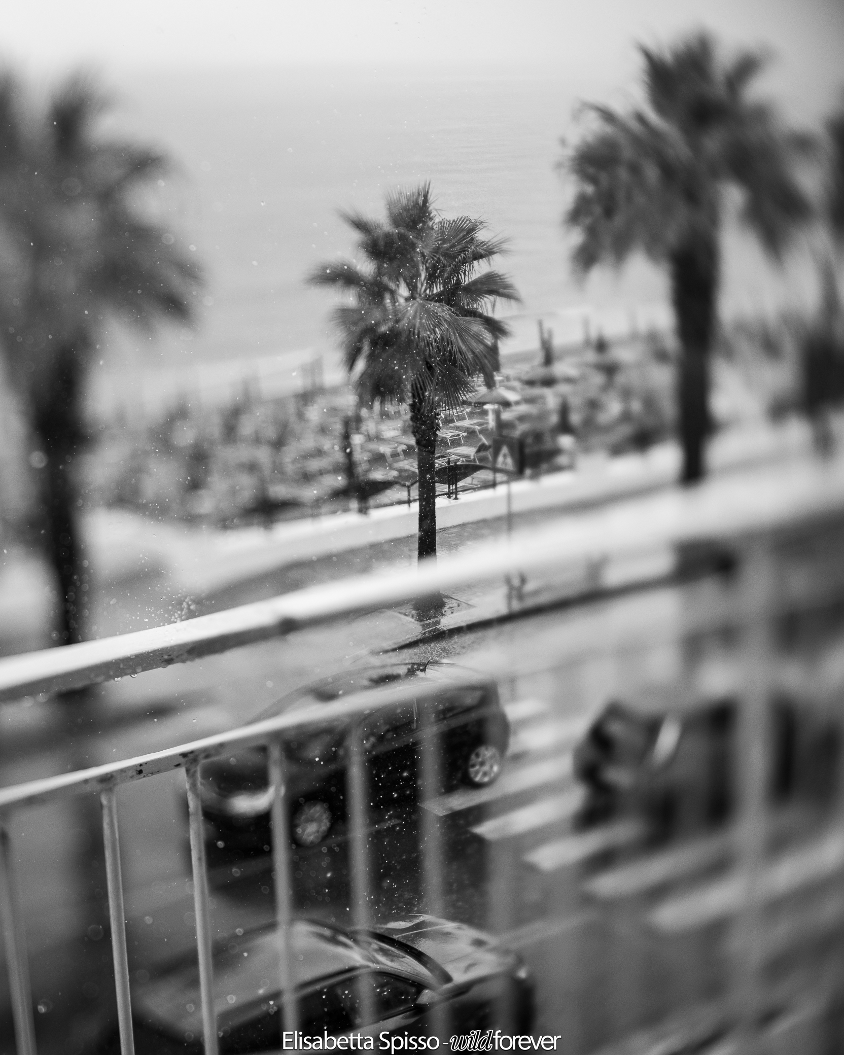 An ordinary day in Agropoli