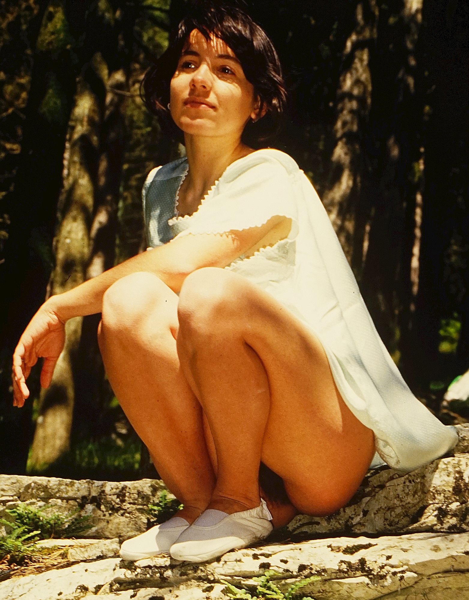 ... in the woods