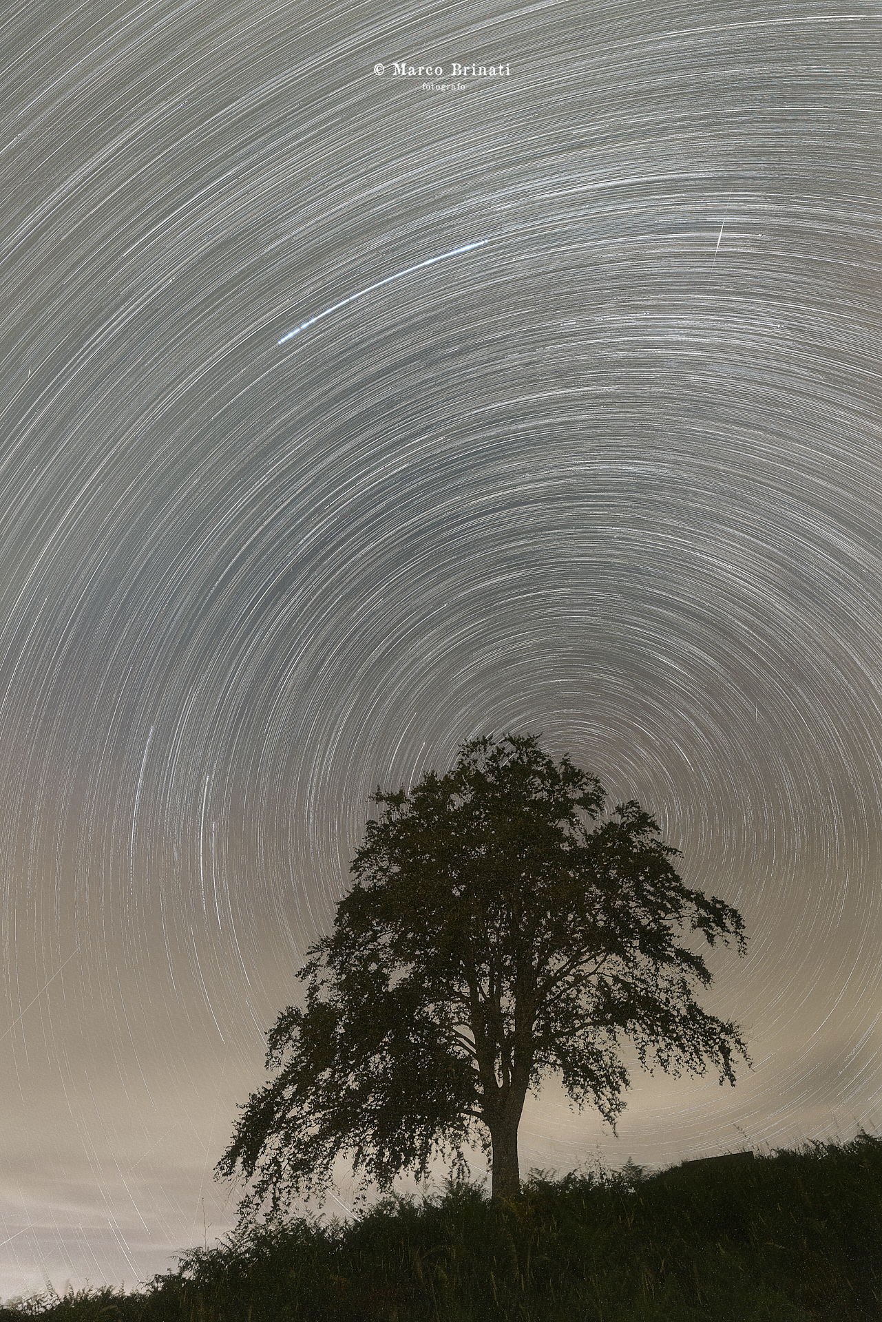 Star Trail al Pian dei Termini