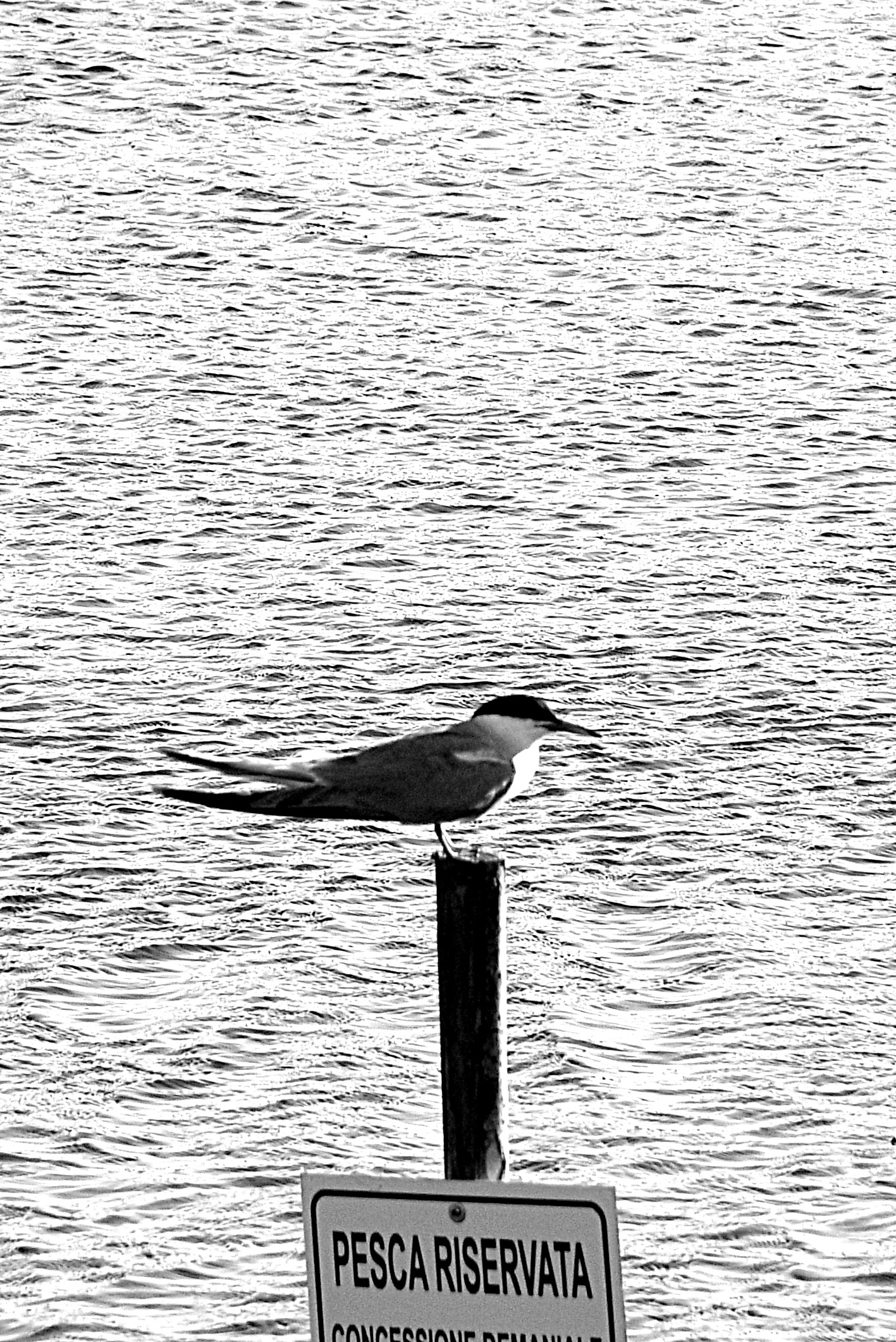 Reserved fishing ... to me.