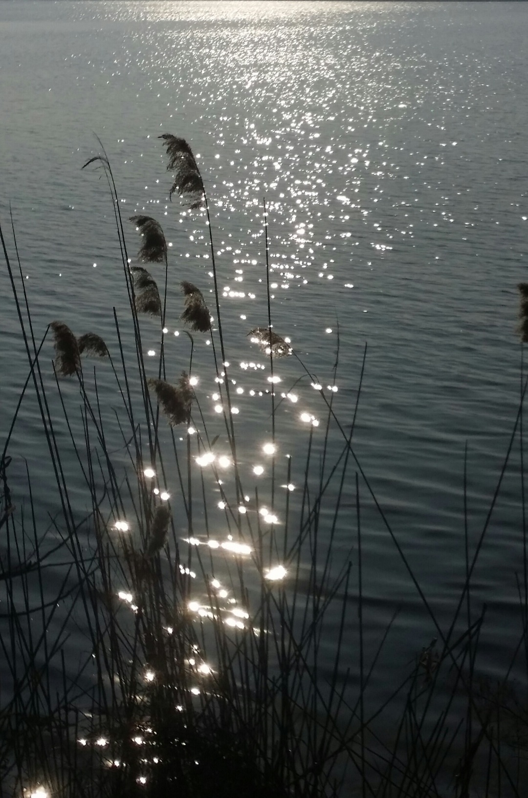 Reflections on the water