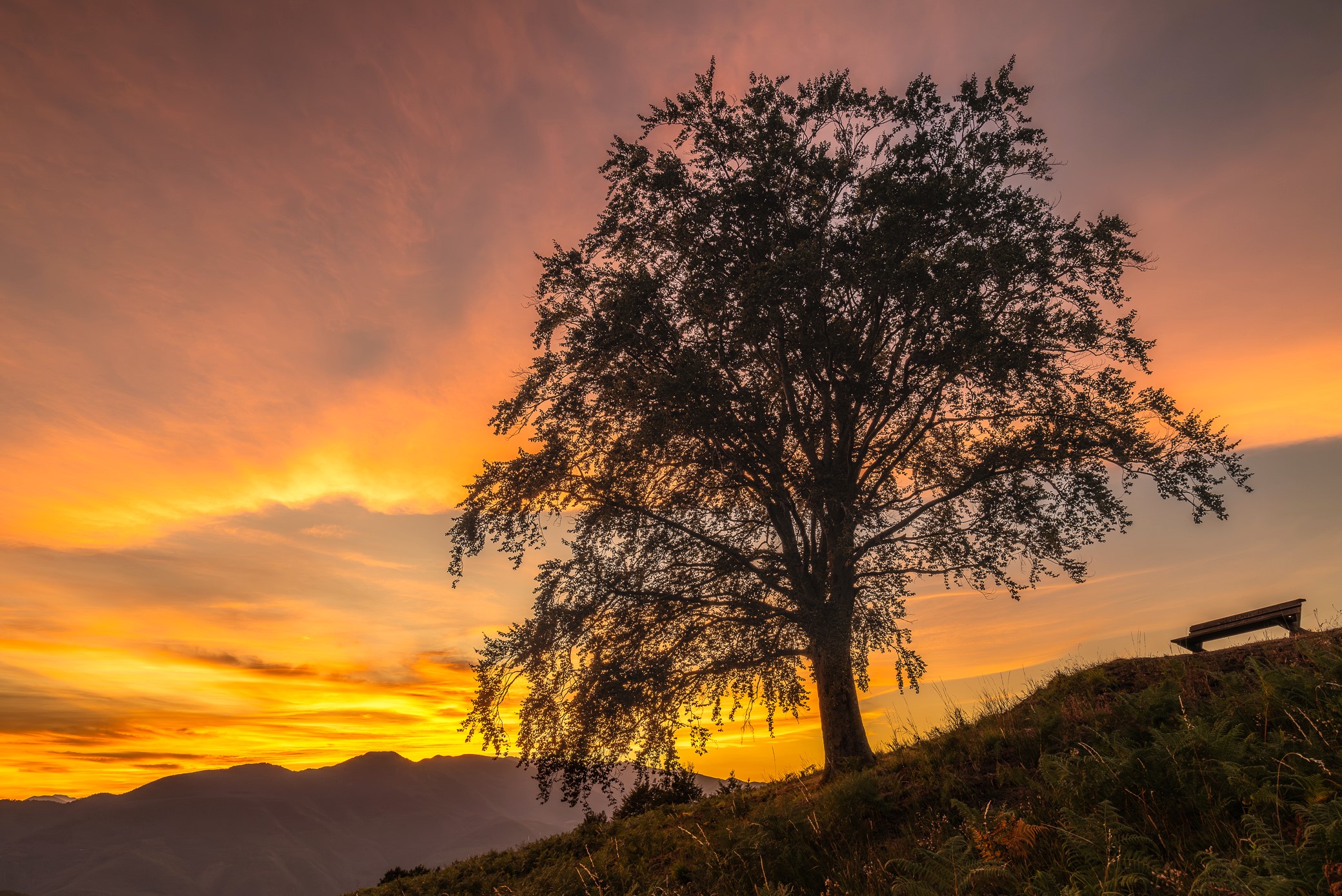 Qualche bel tramonto ogni tanto capita....