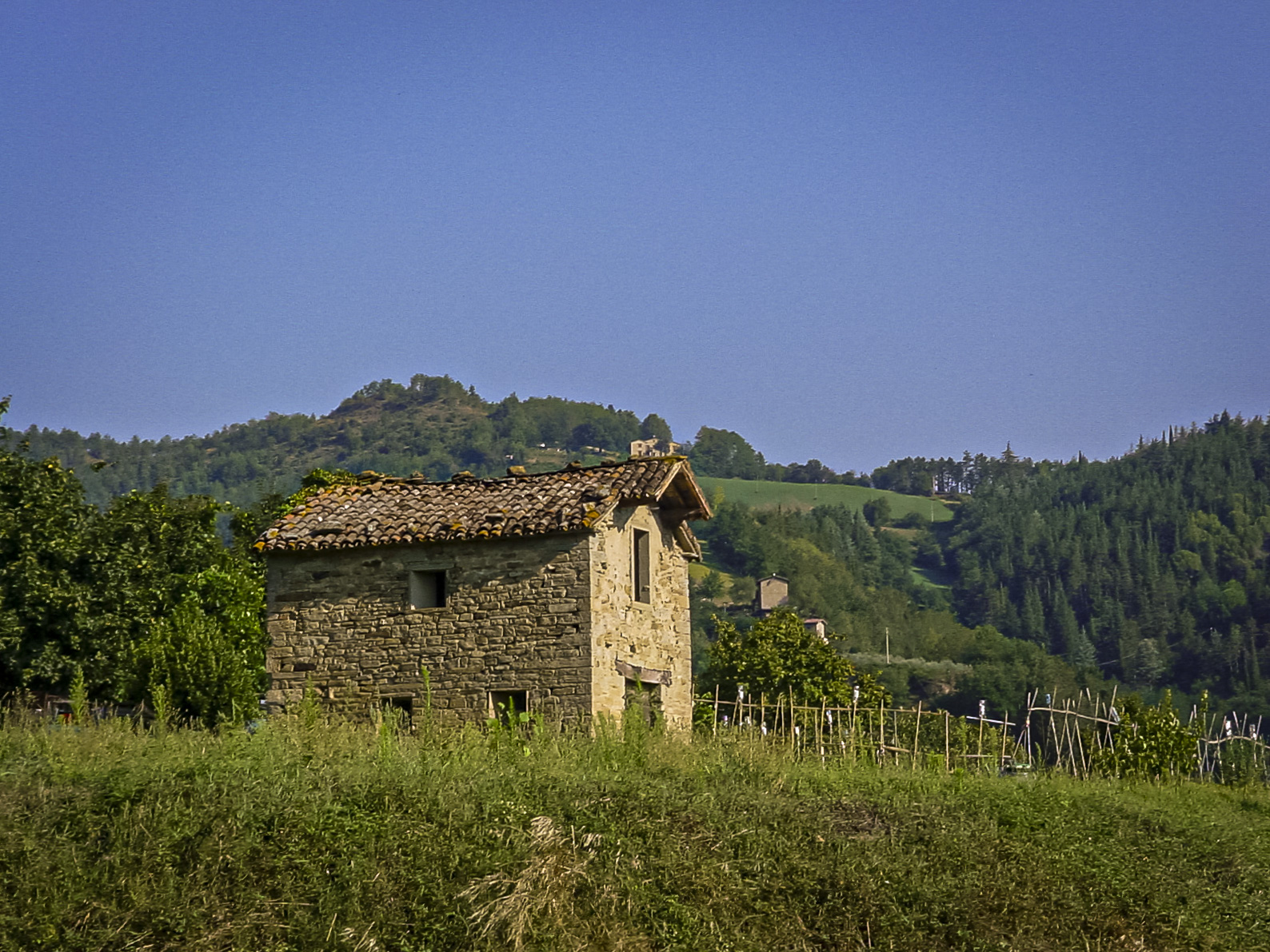 Località Pianetto (fc)