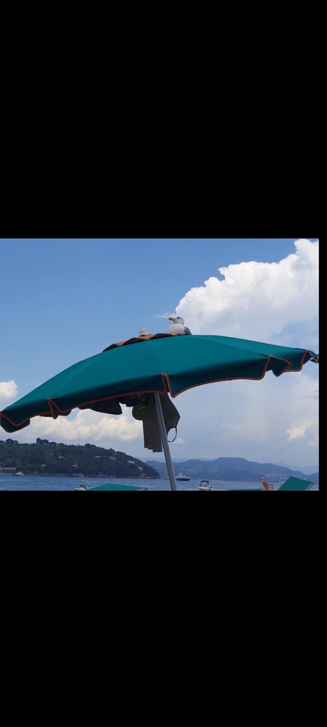 Who knows if he paid