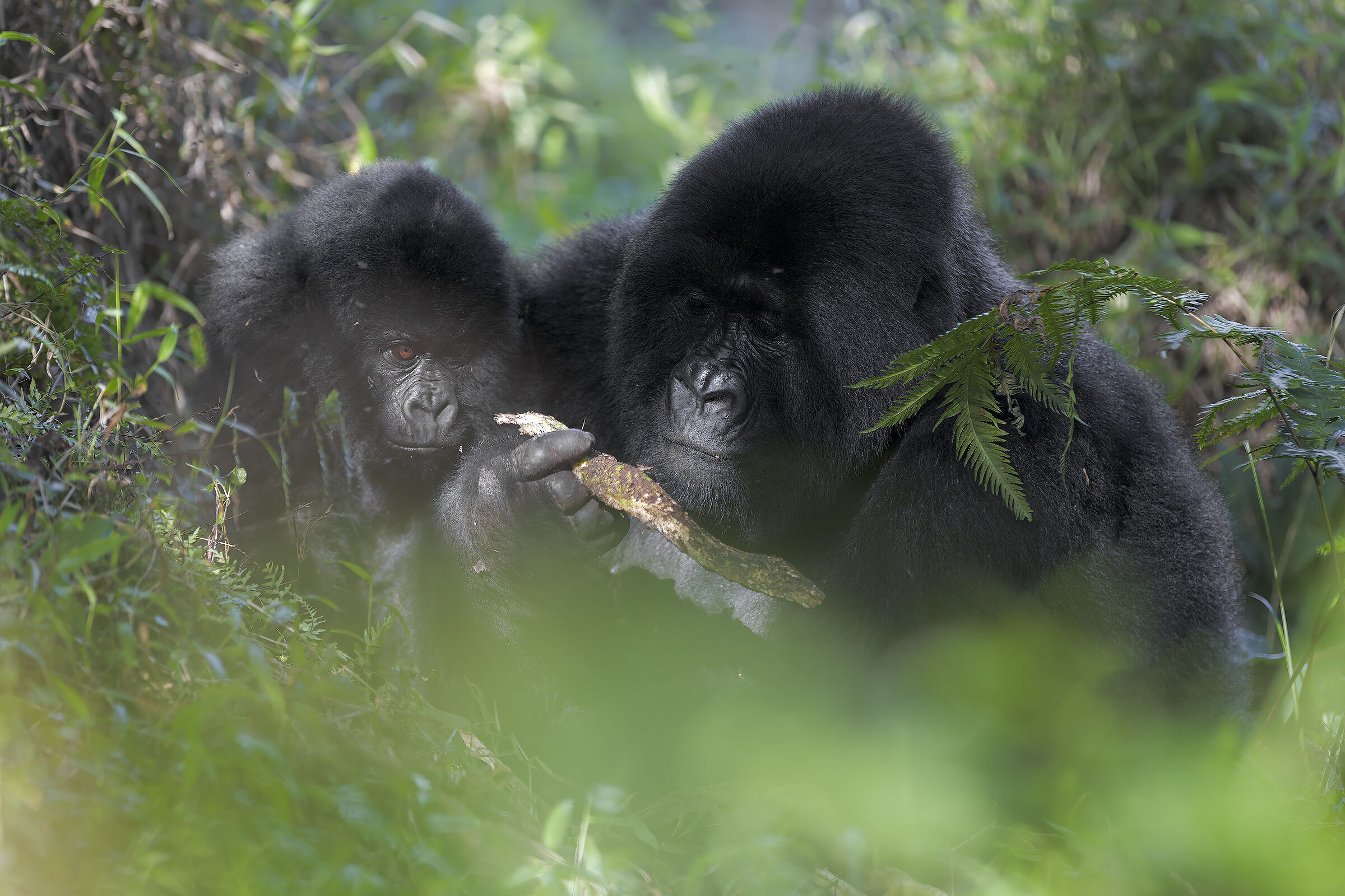 A lezione dalla mamma