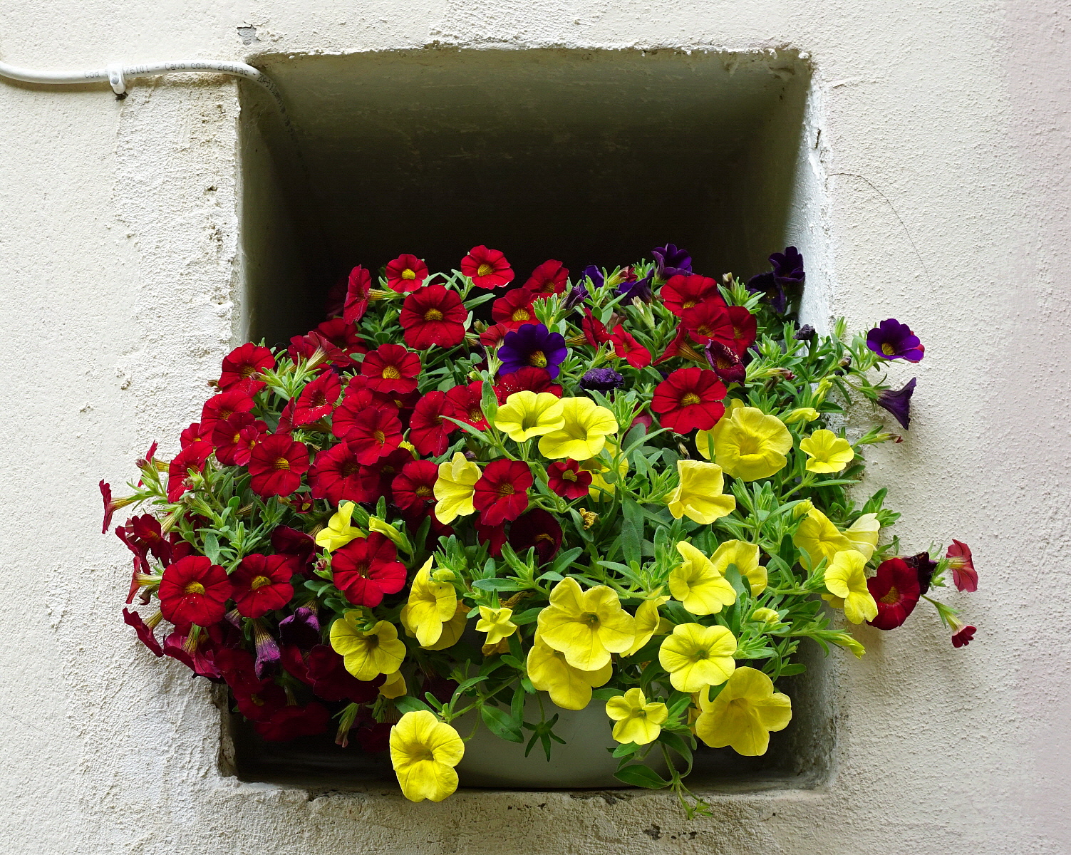 Vicini vicini nella nicchietta!