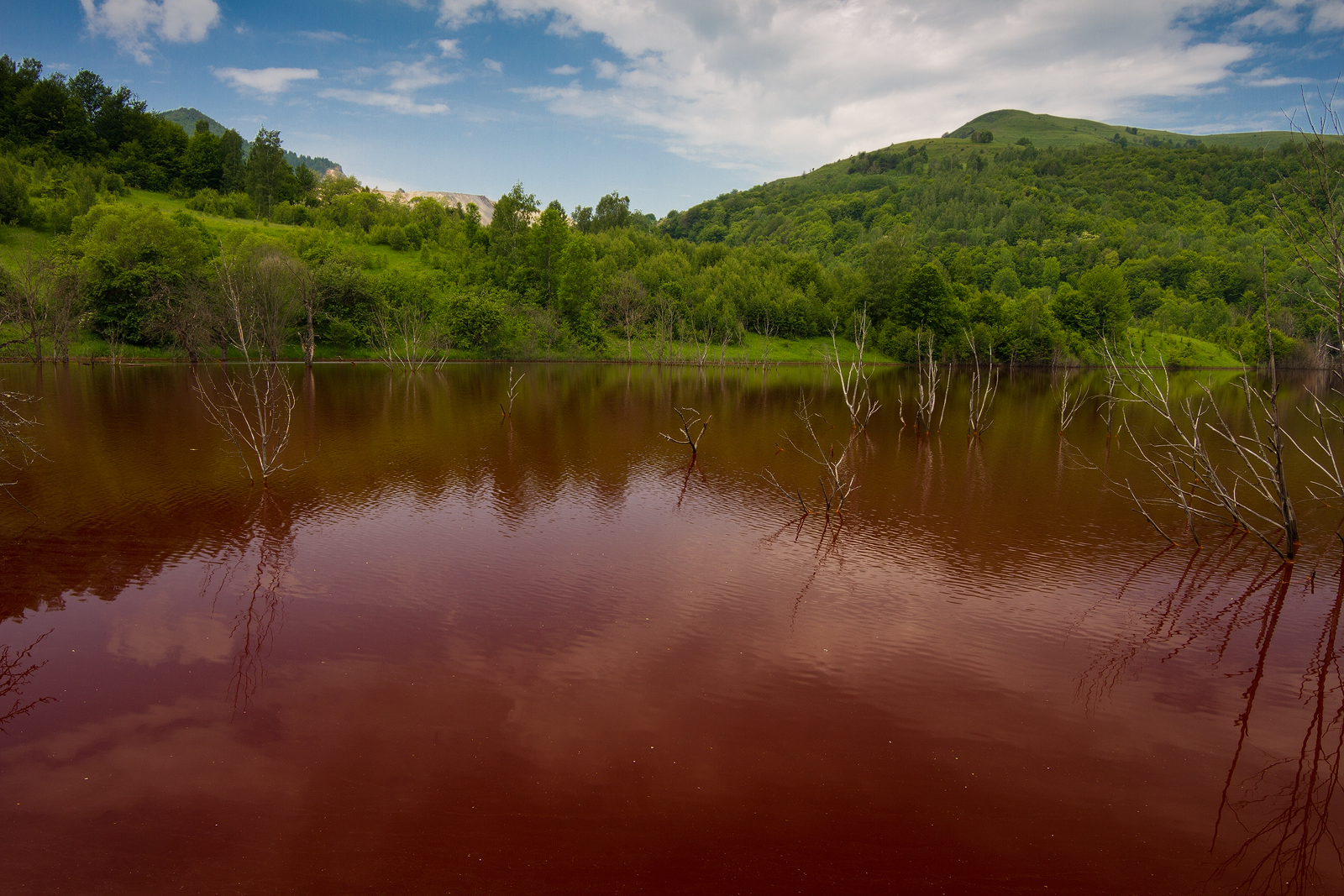 Blood Lake