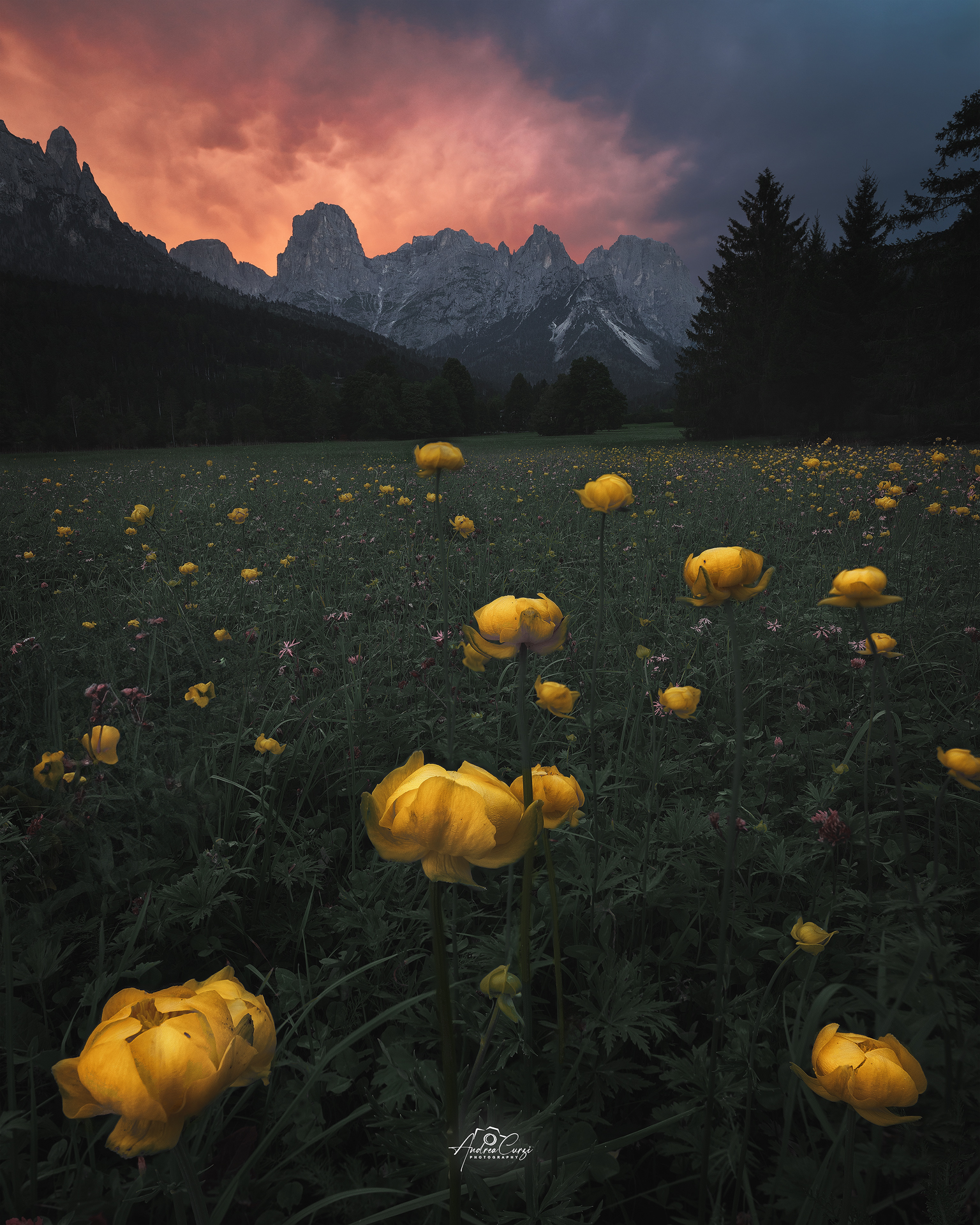 Untitled Photo
