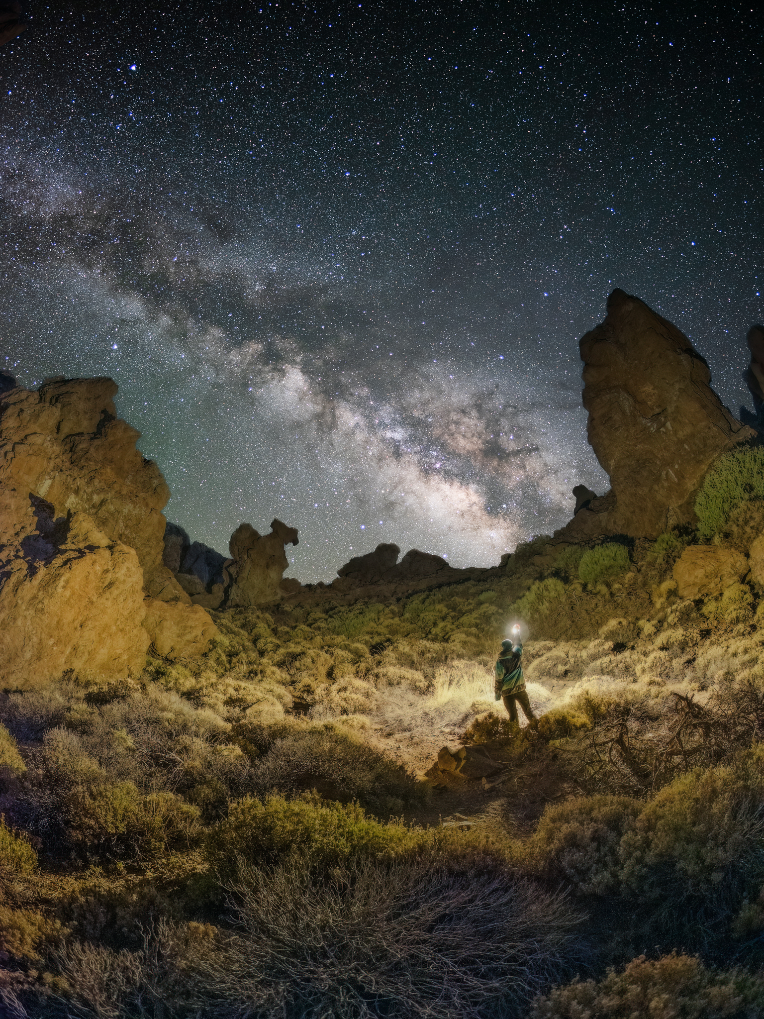 The Explorer