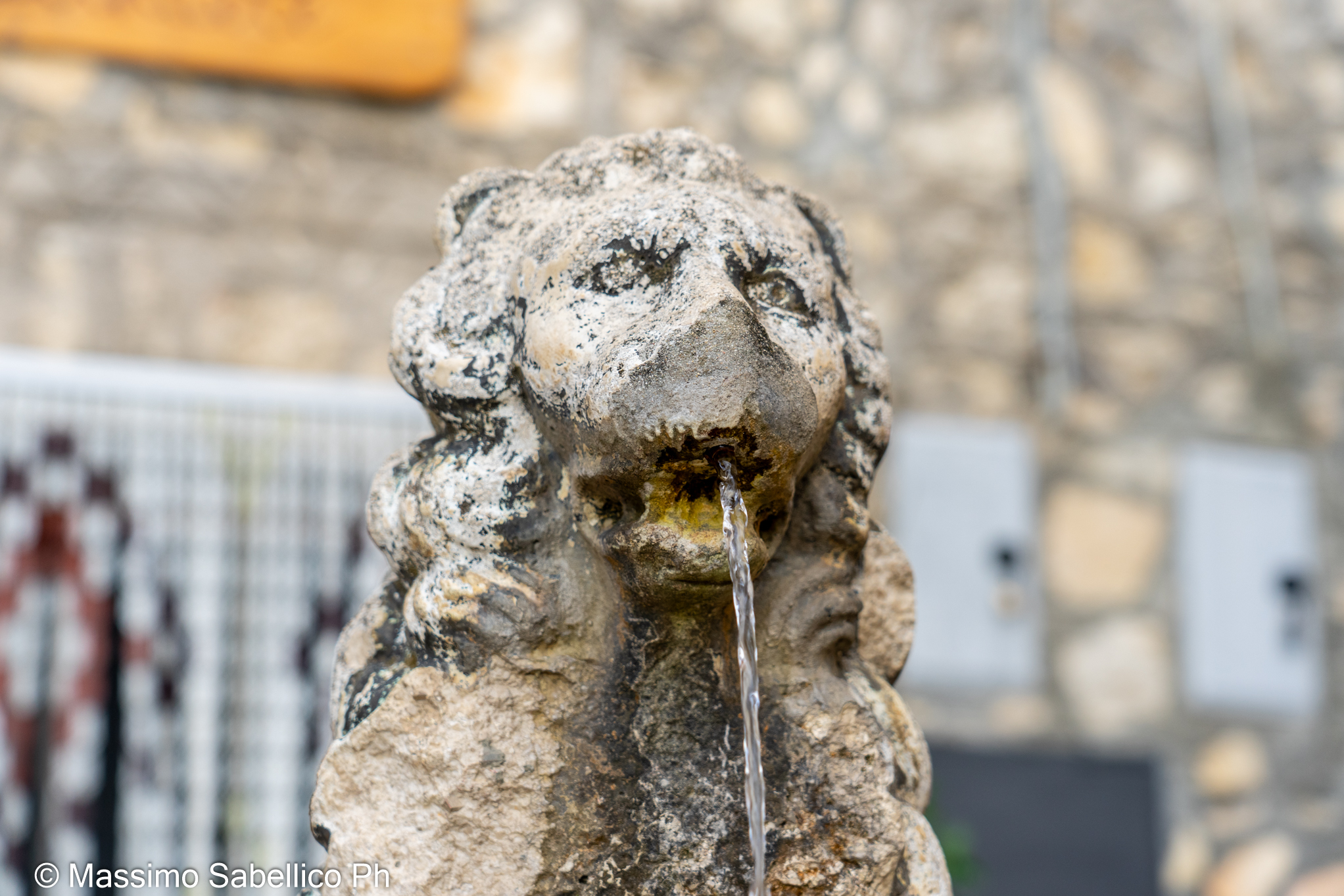 Il Leone