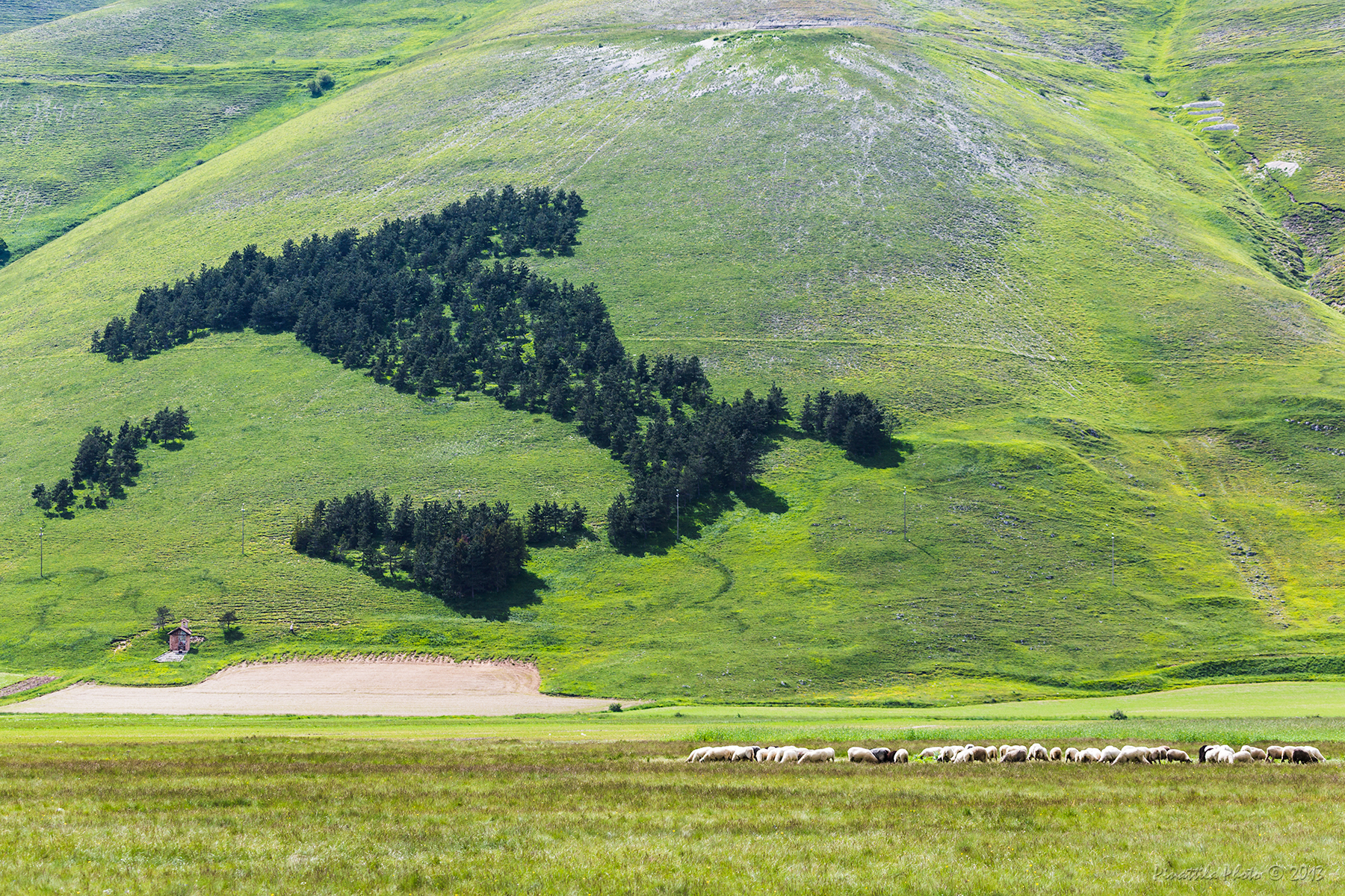 Castelluccio di Norcia