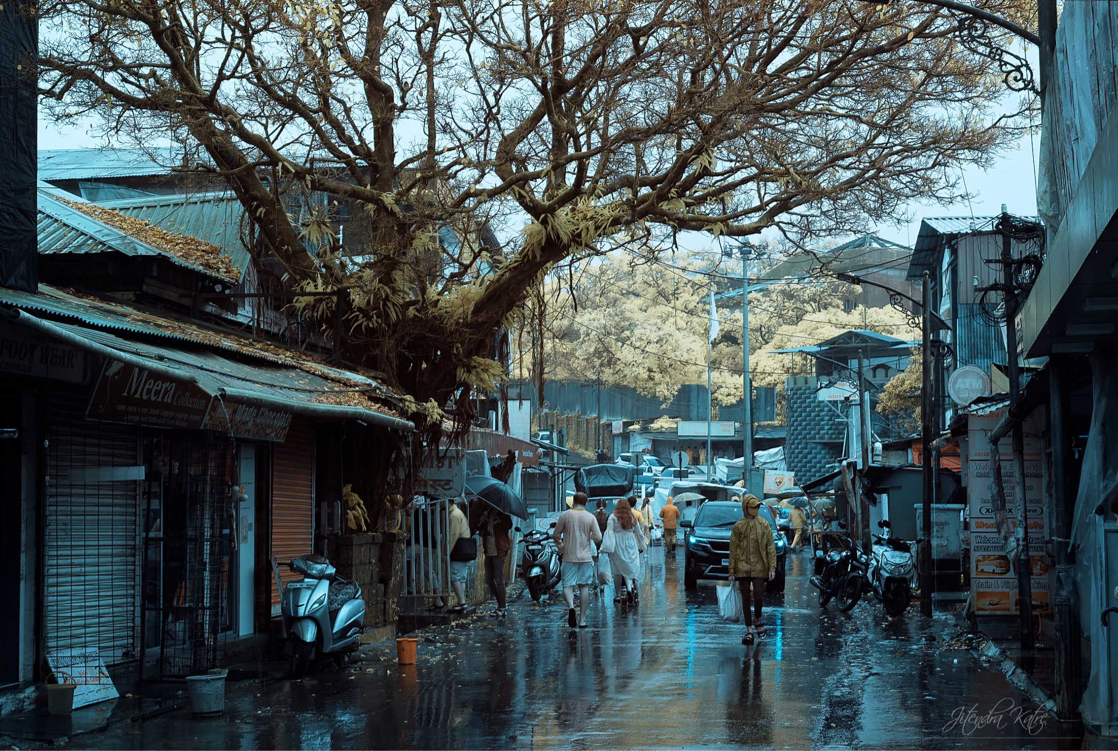 Mahabaleshwar in rain