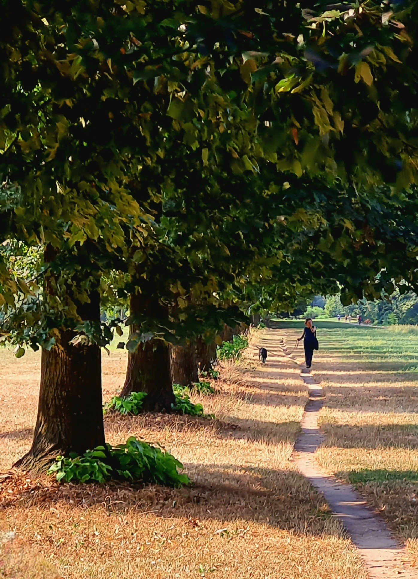 Parco nord