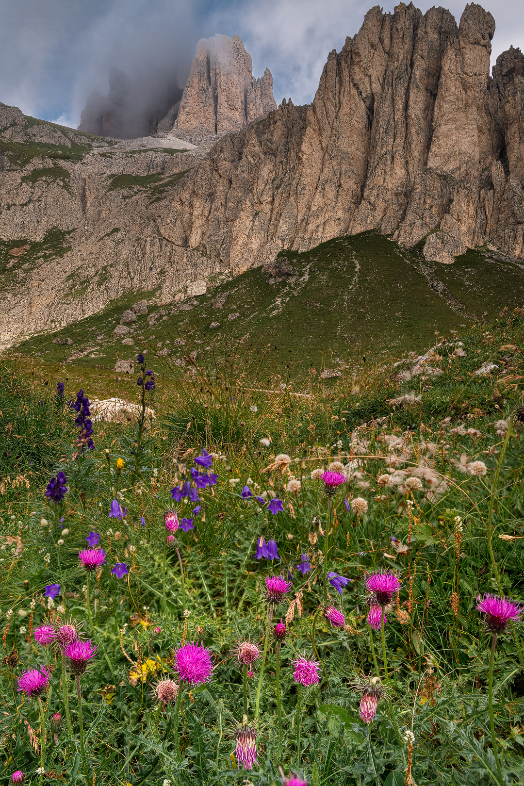 Flowers of the Dolomites