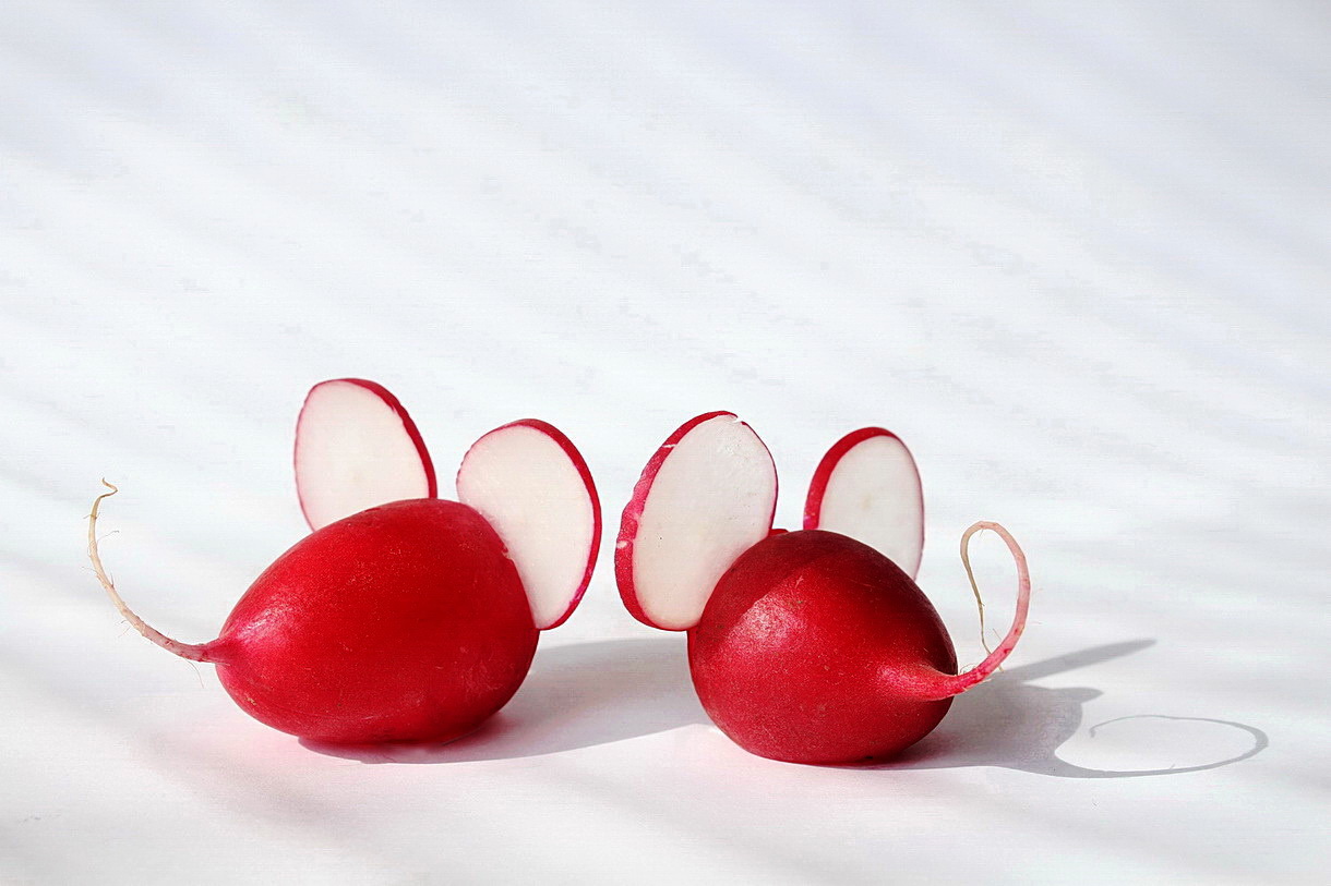 two little mice