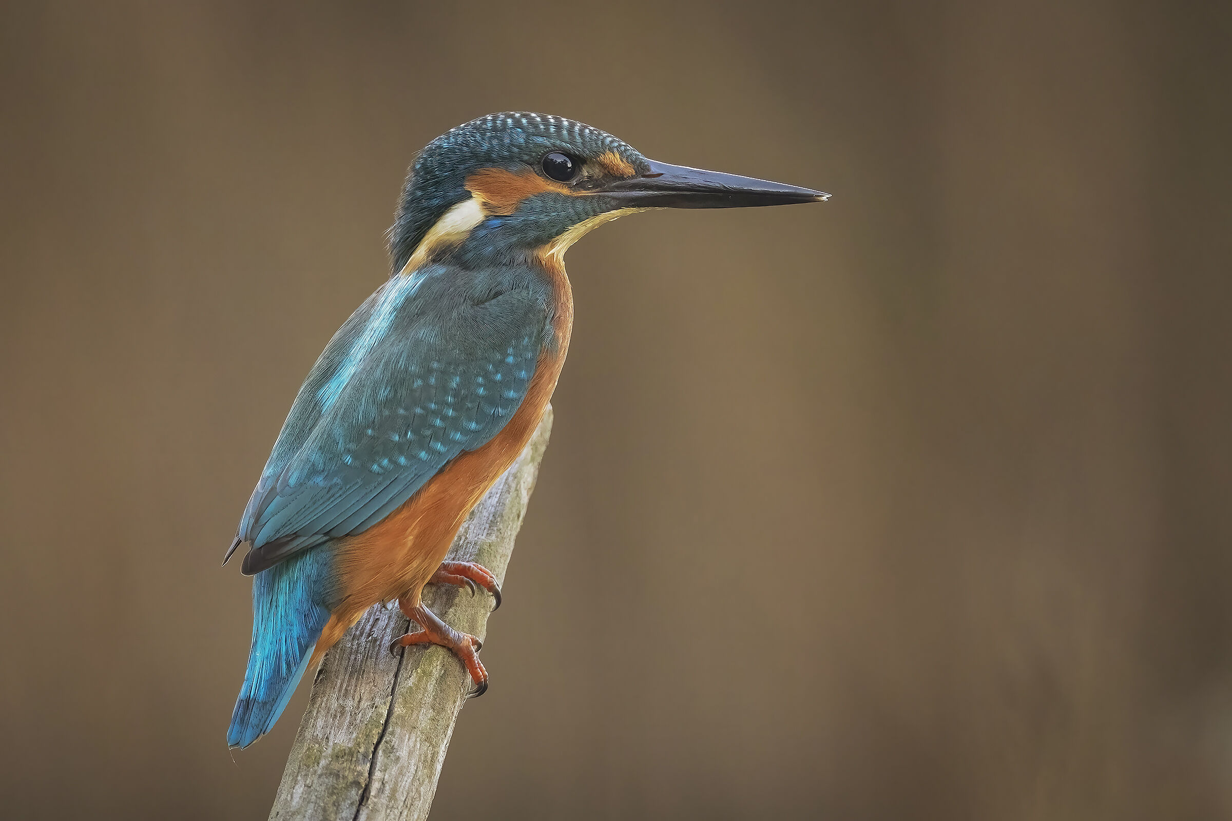 He was waiting for me.....