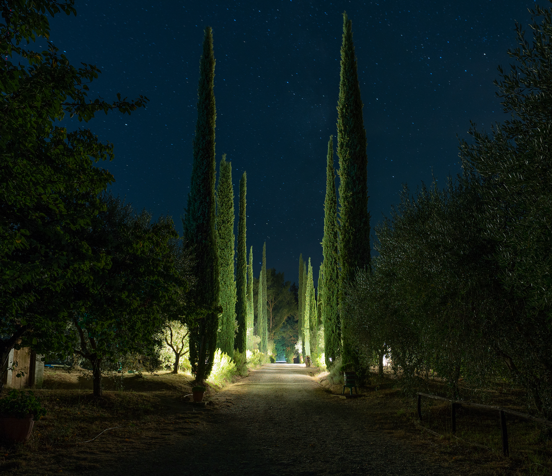 Untitled Photo