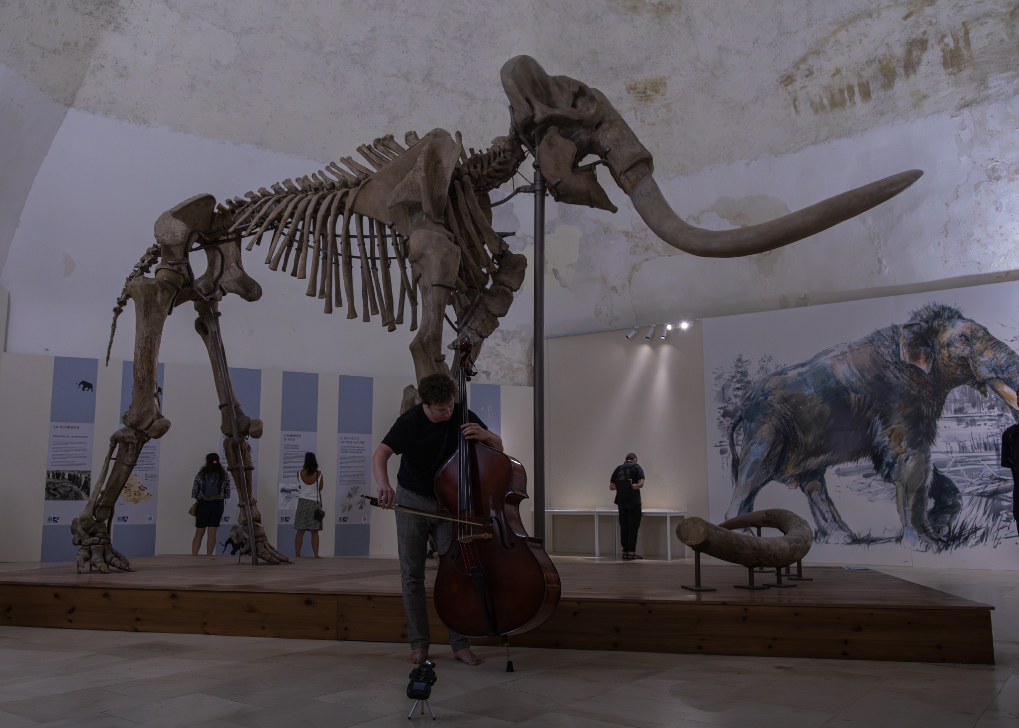 Jazz per L'Aquila - Mammut