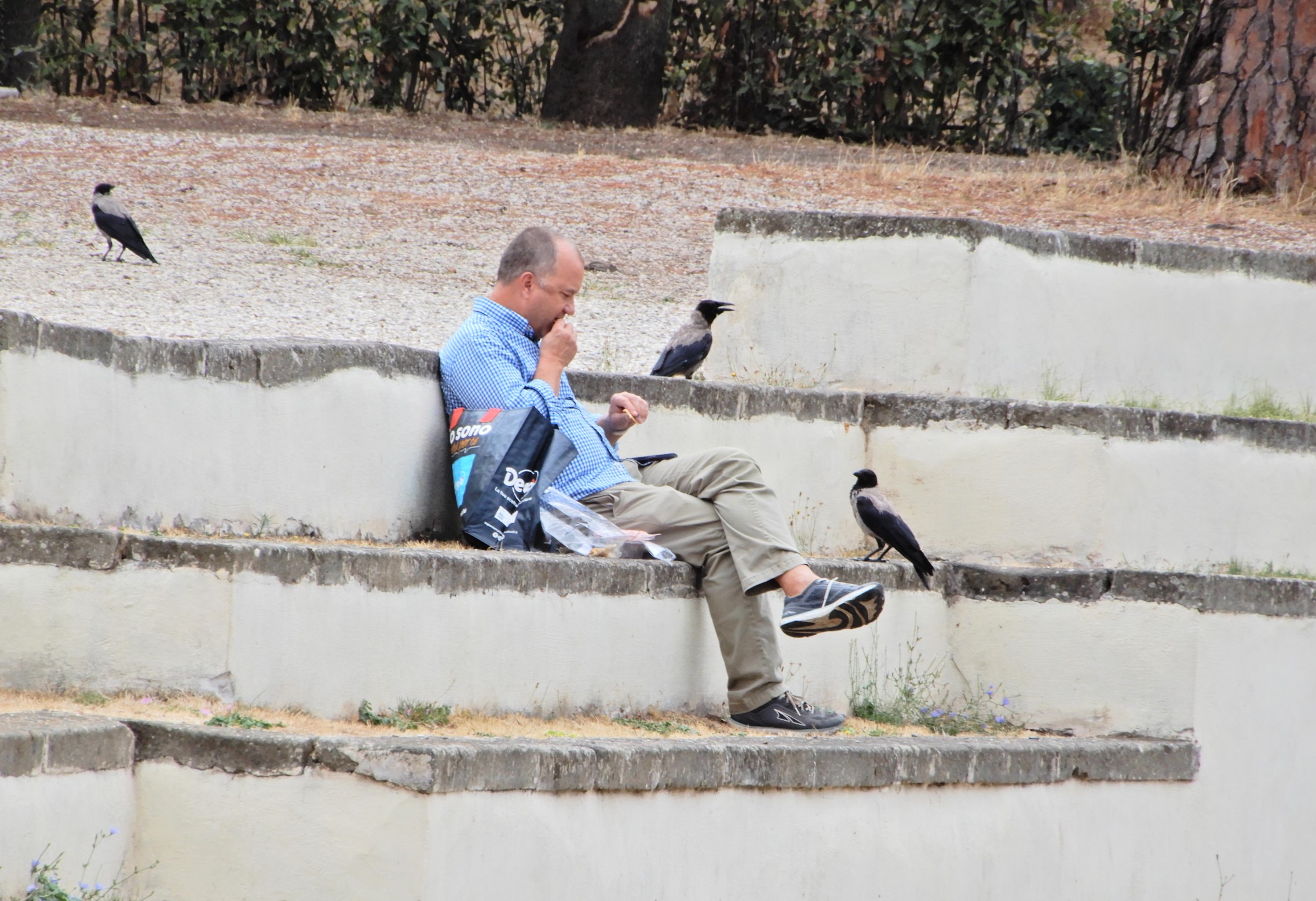 Roma giardini di Villa Borghese