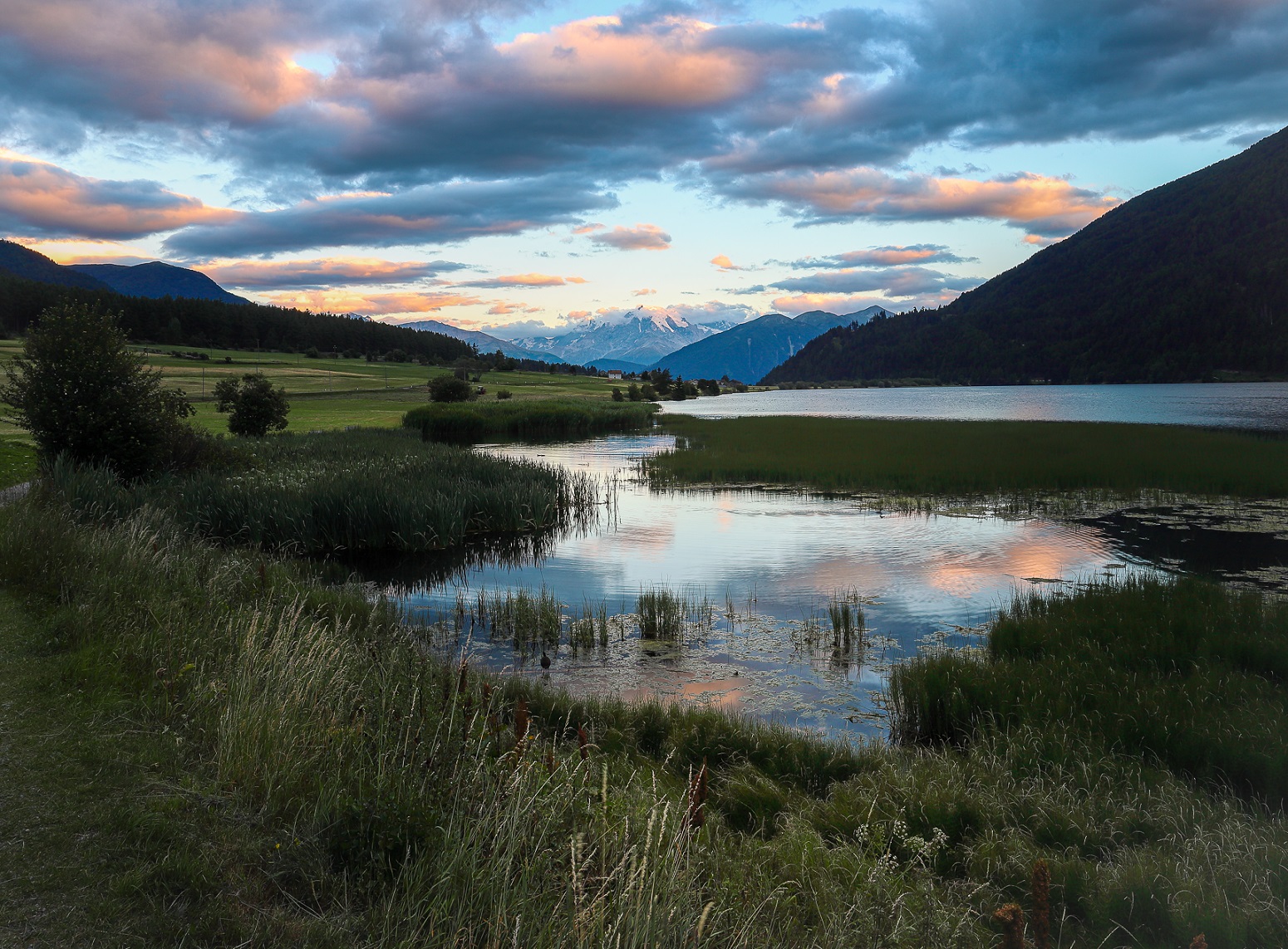 Valentine's Day to the moult