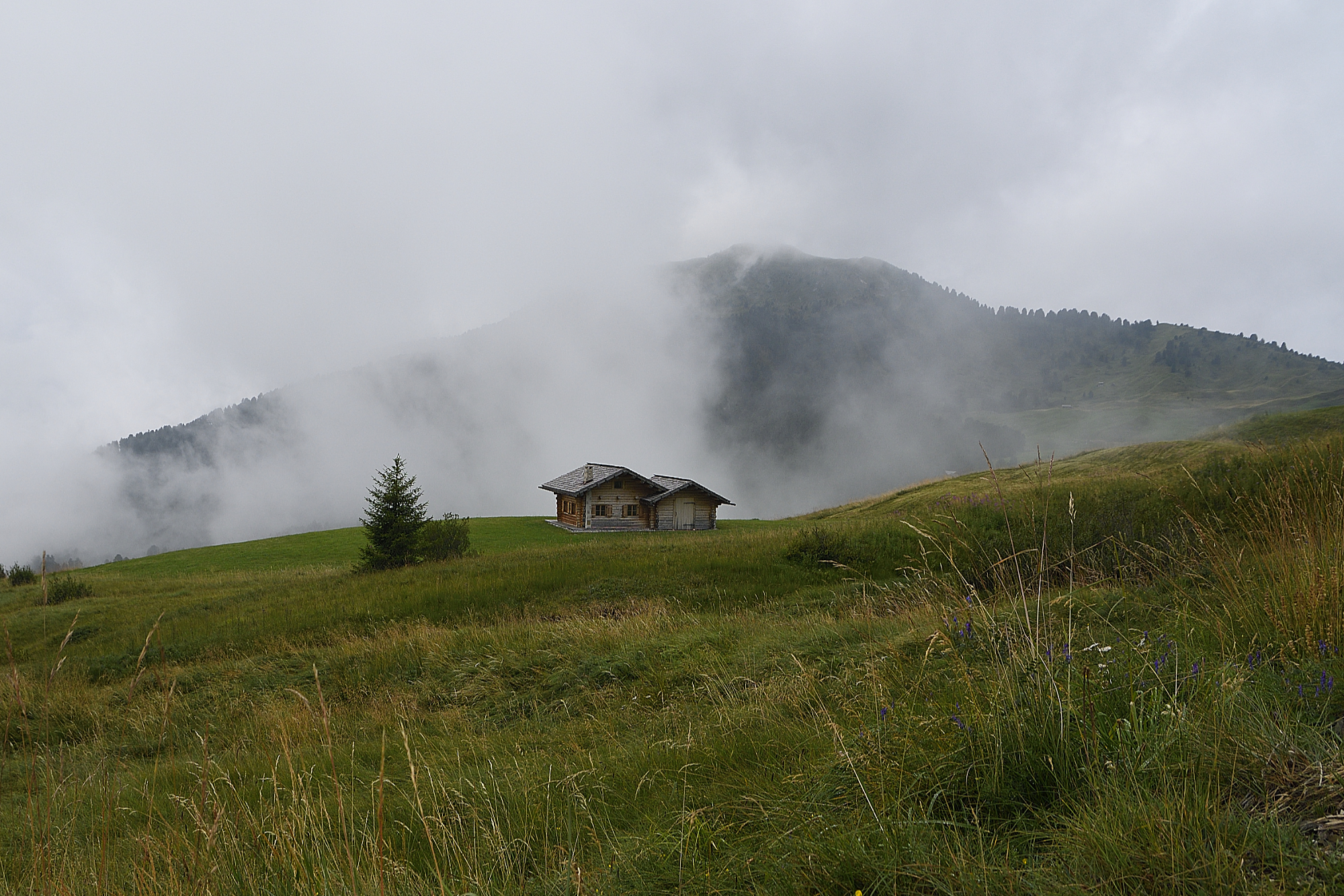 In and around Col Raiser