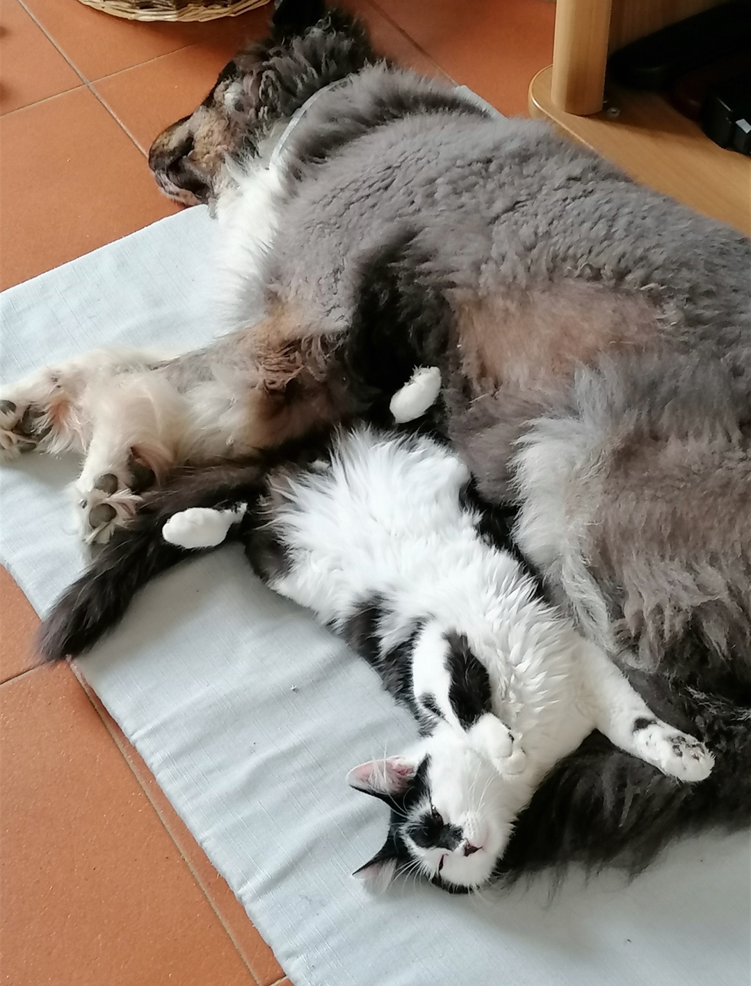 lots of sleep