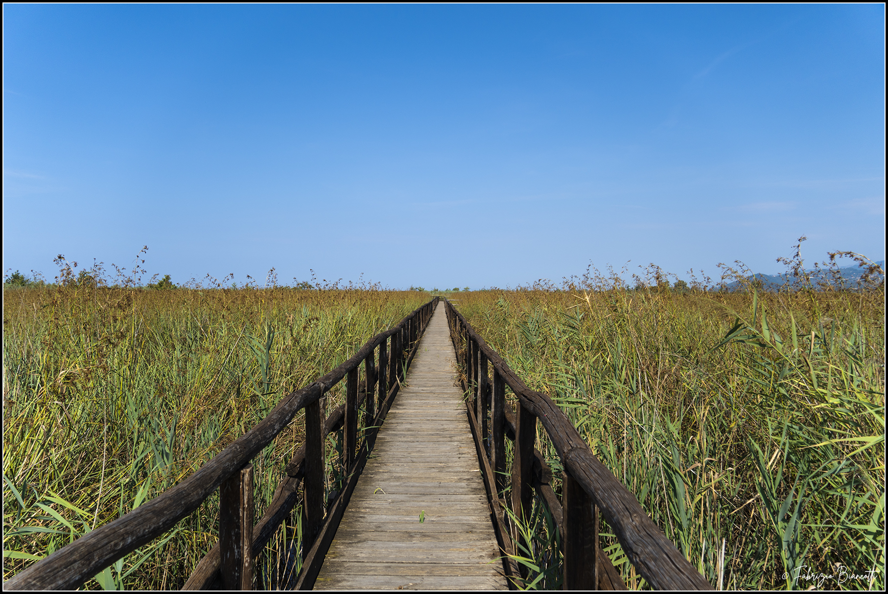 Lipu Oasis Lake Massaciuccoli