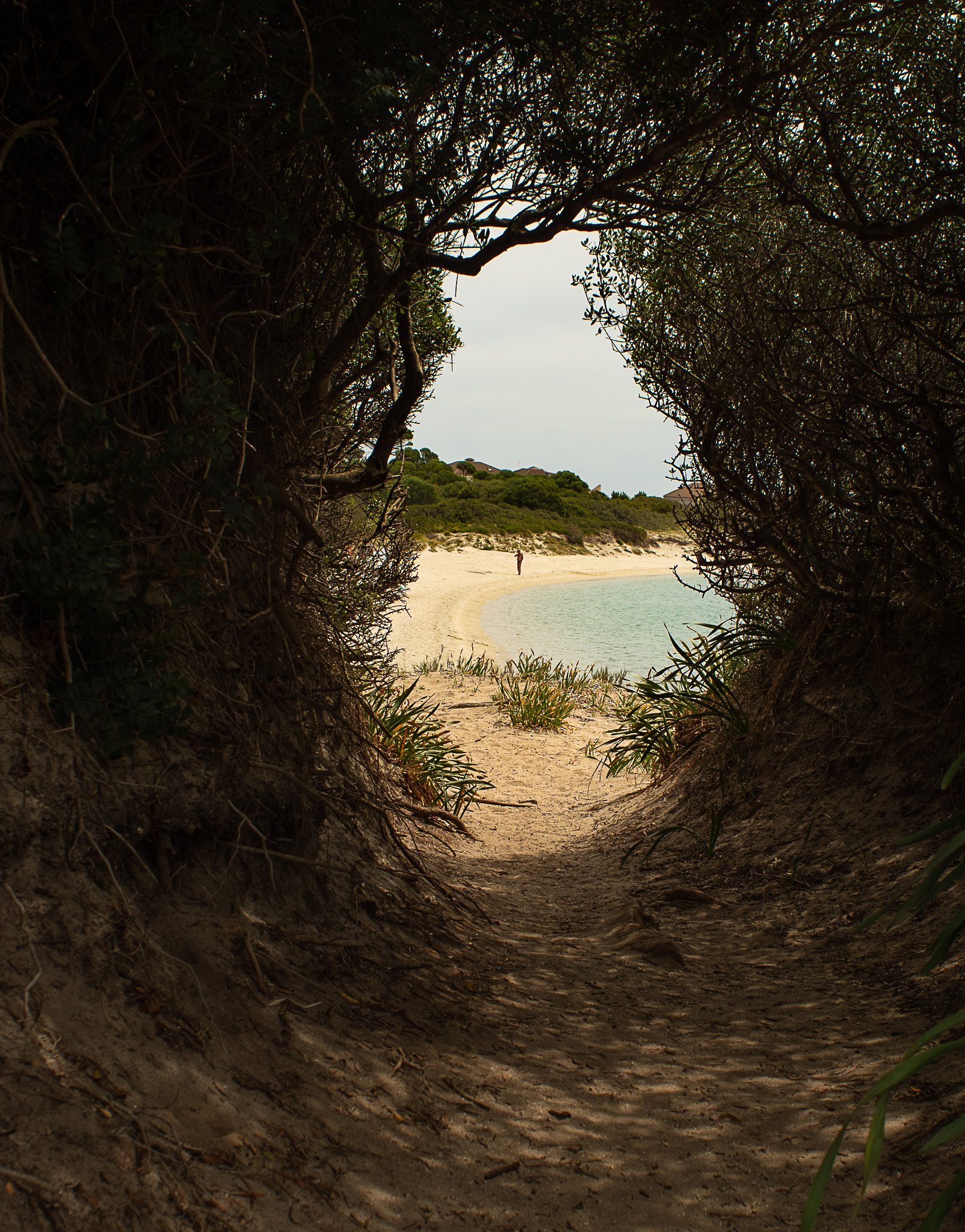 In Sardegna