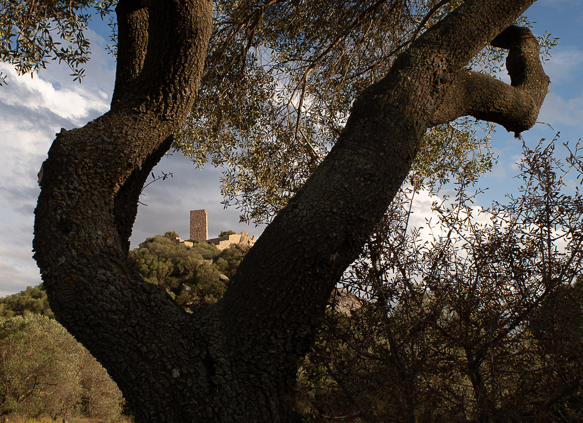 In Sardegna