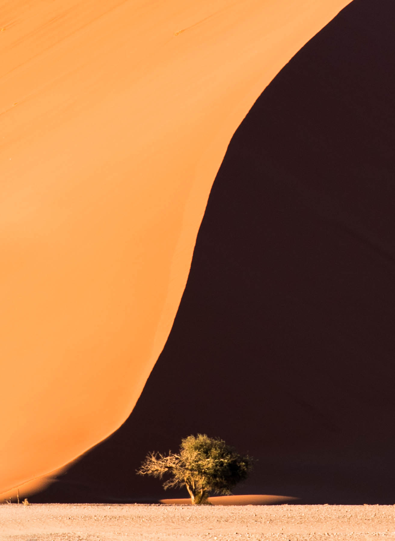 Duna 45