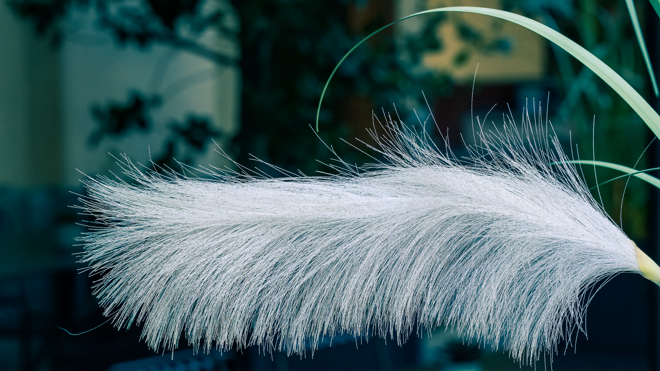 Leggerezza insostenibile