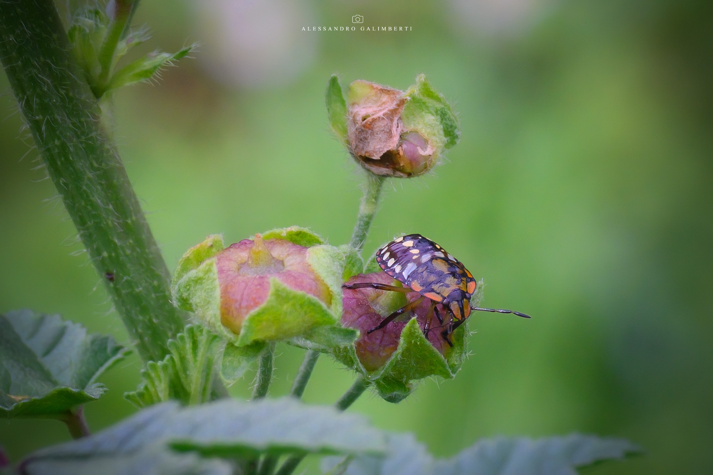 Untitled Photo