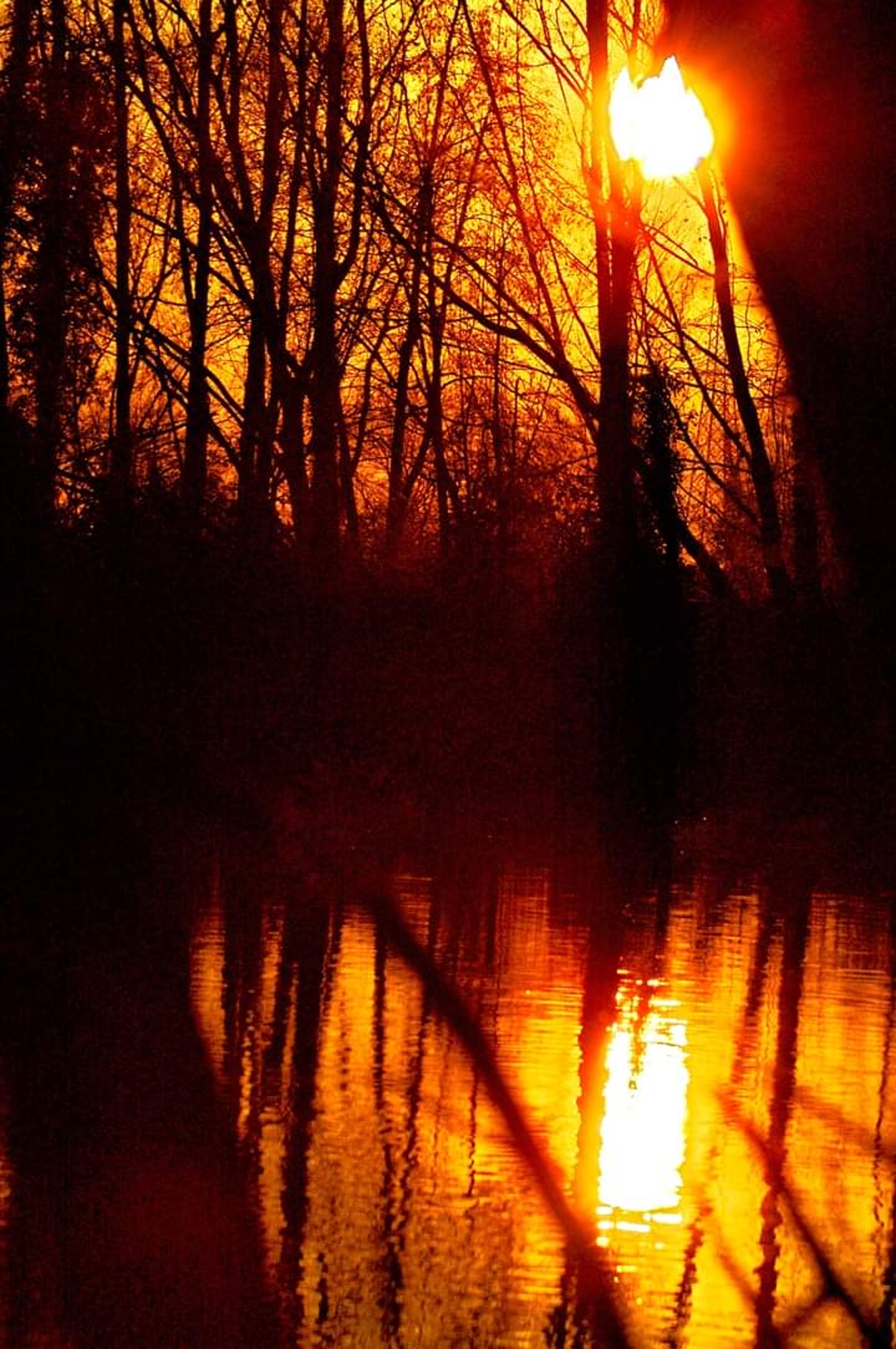 Tramonto rosseggiante a Basiglio