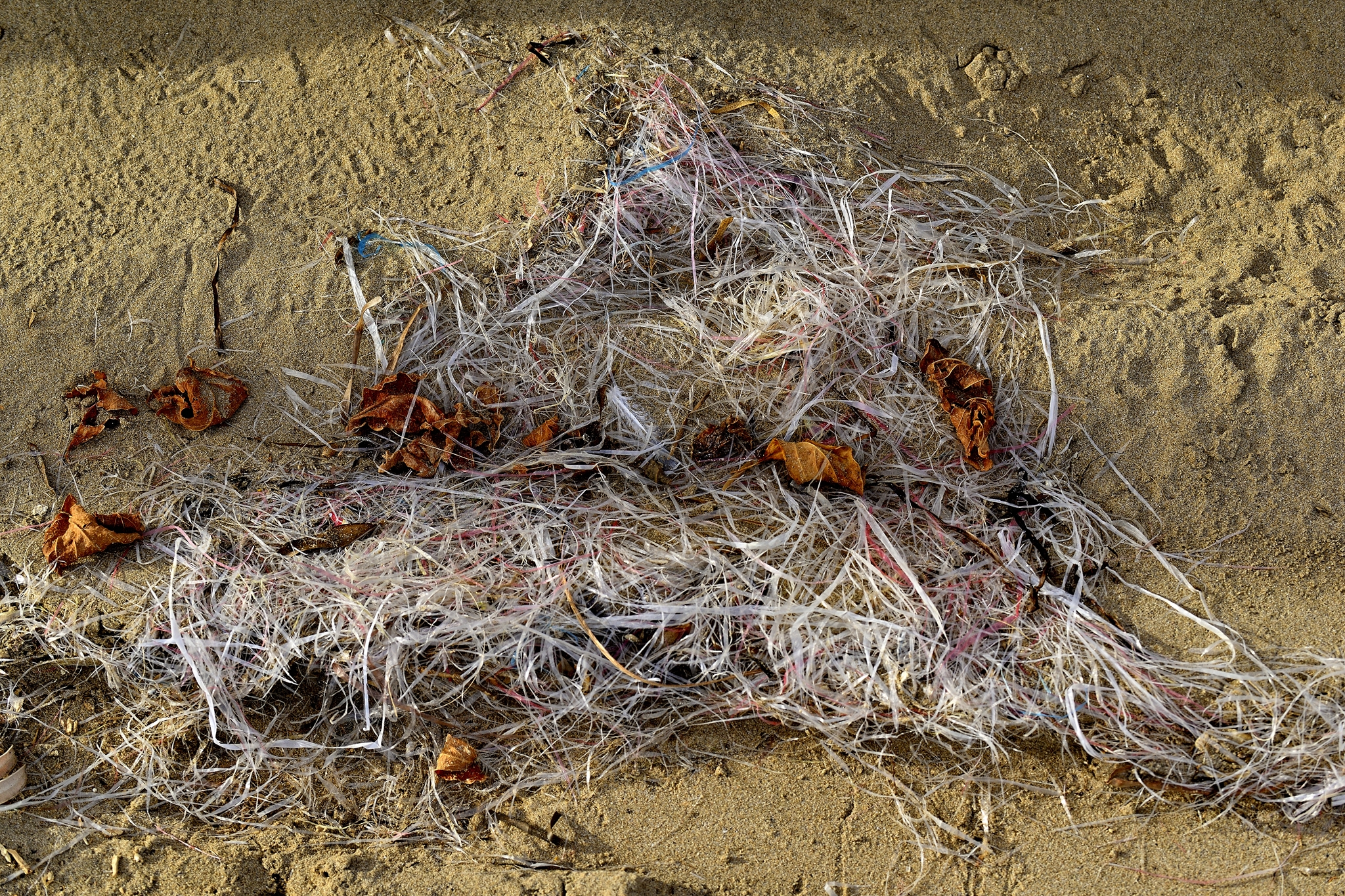 L'impari lotta con gli hawaiani