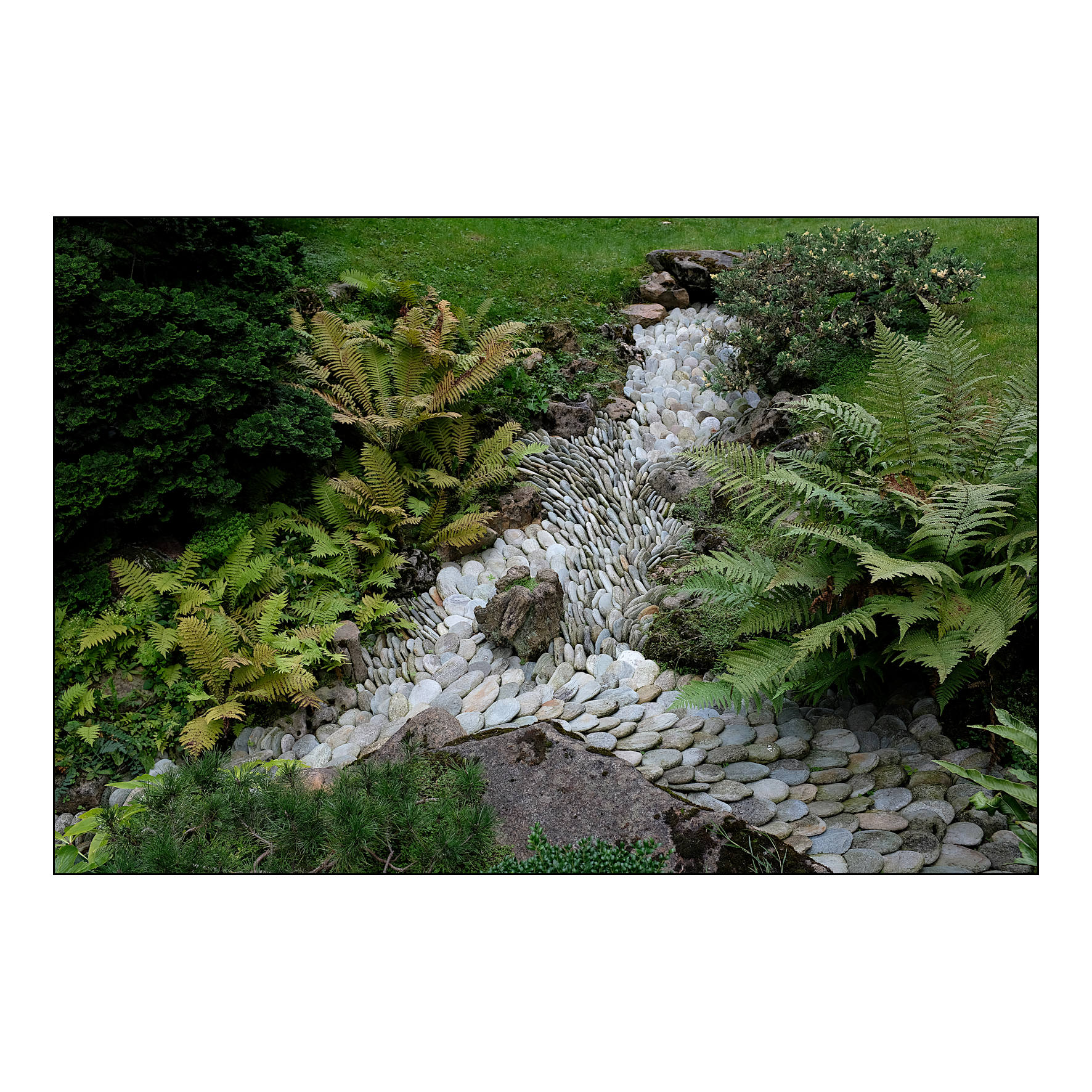 Giardino giapponese.