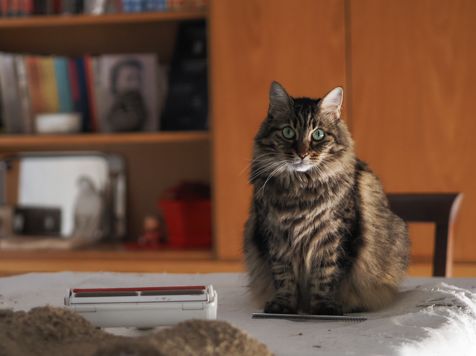 Miao