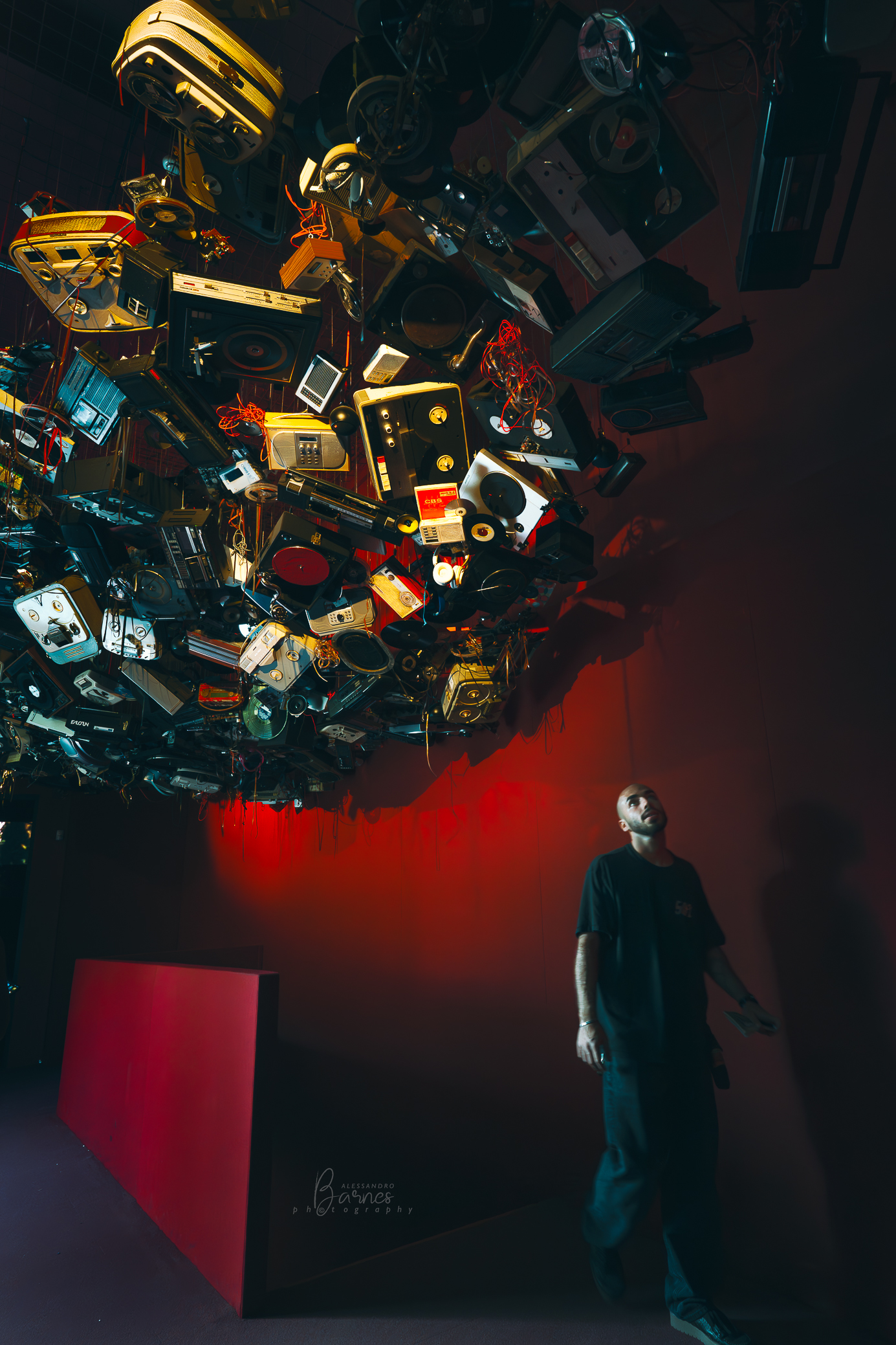 The 2024 Venice Biennale