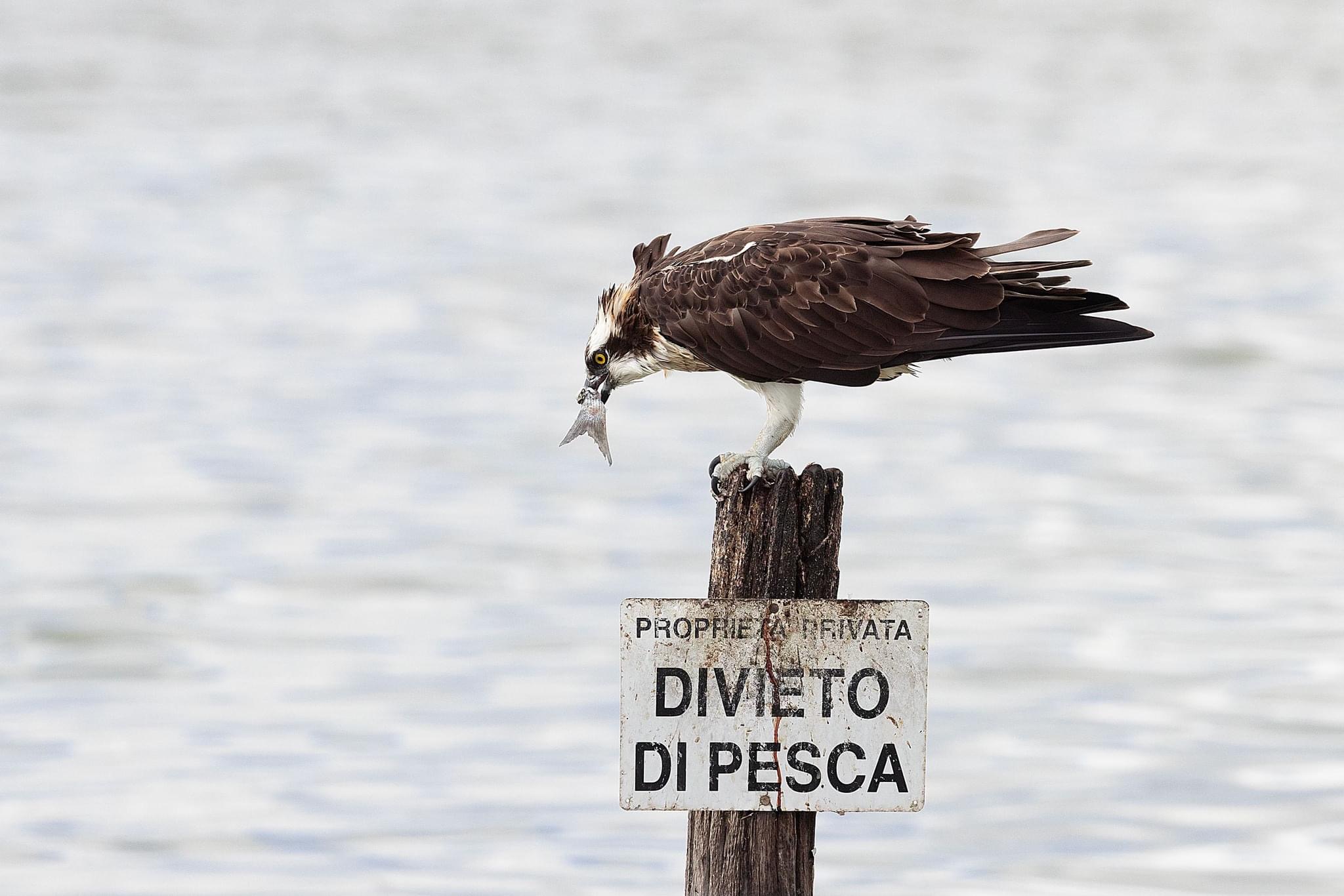 Qua non si butta niente