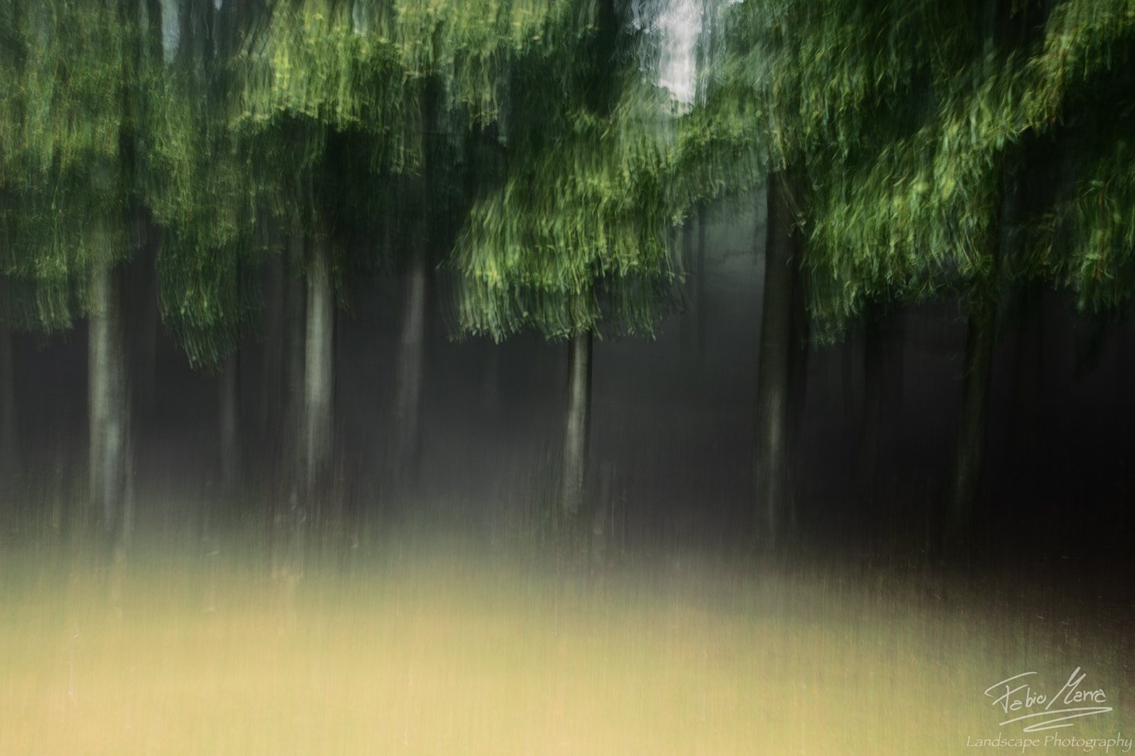 The voice of the wind