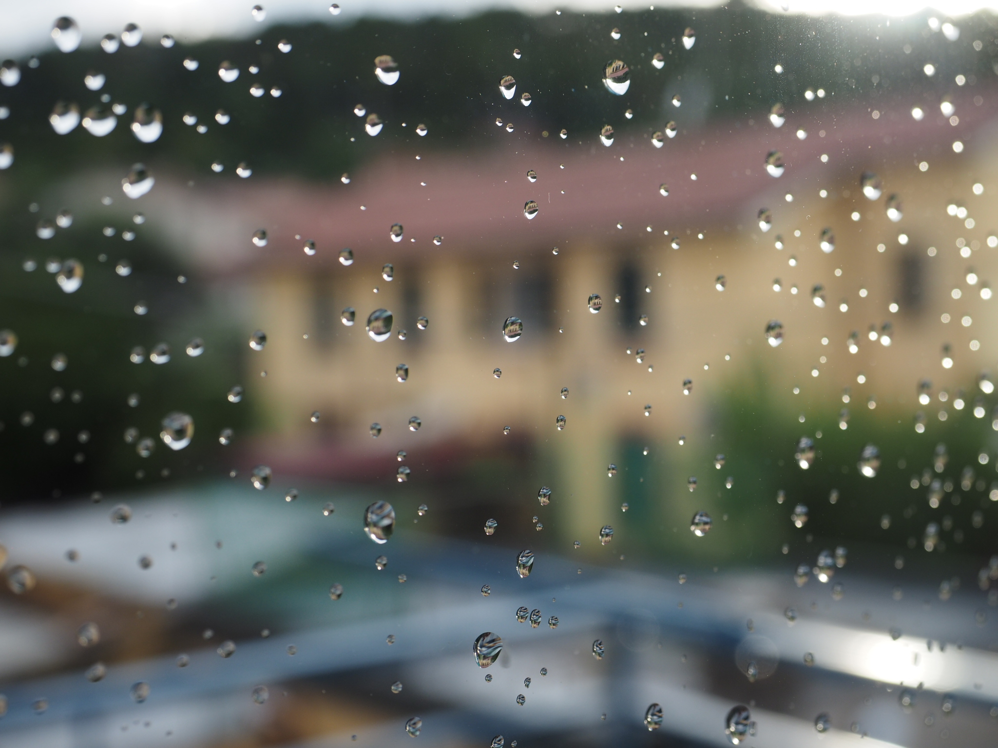 After the rain