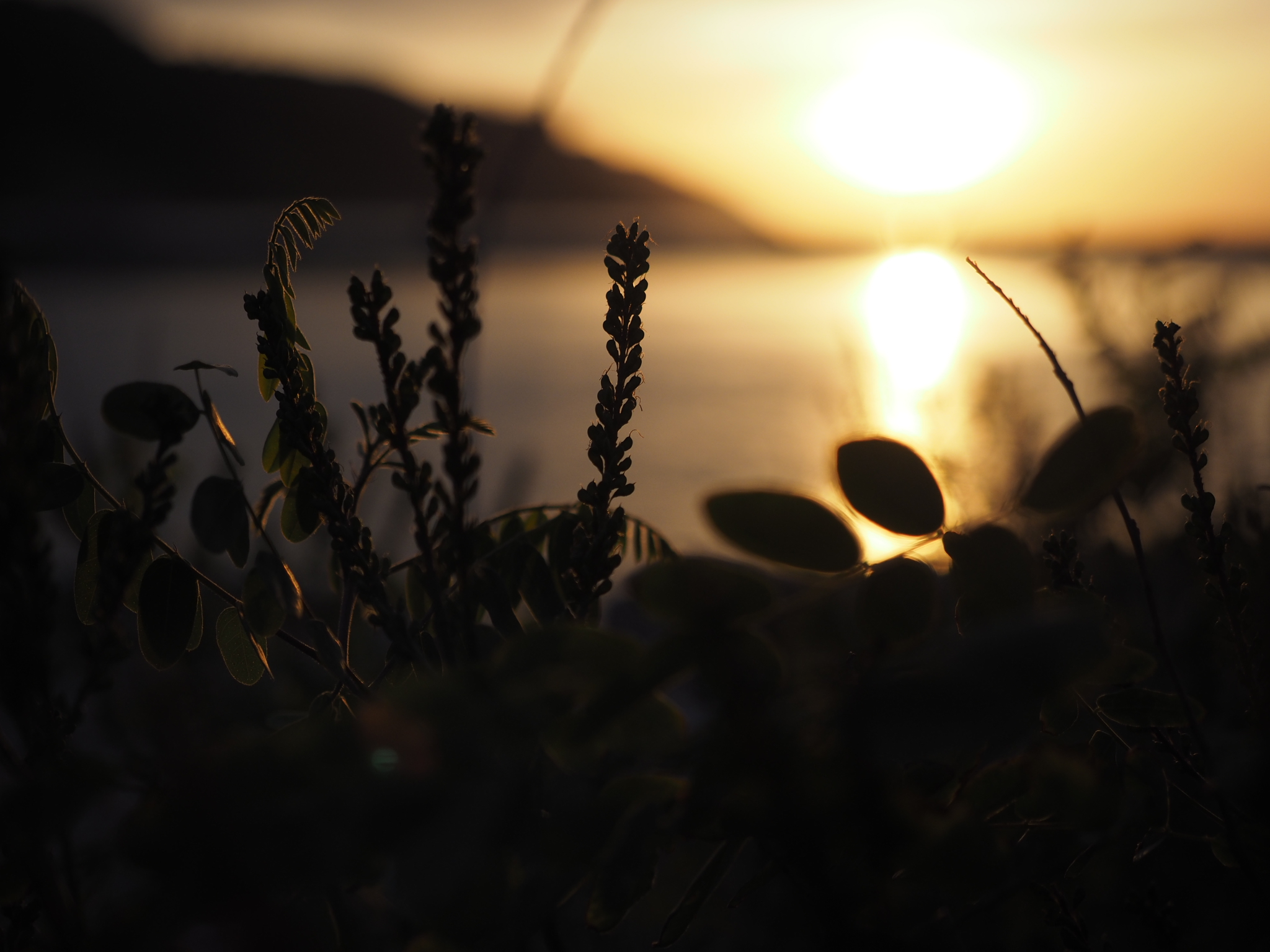 Sunset over the sea