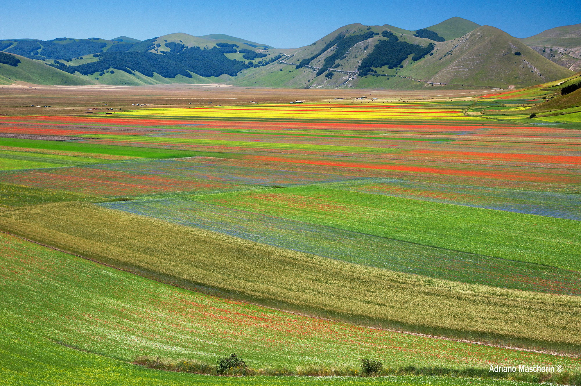 Esplosione di colori