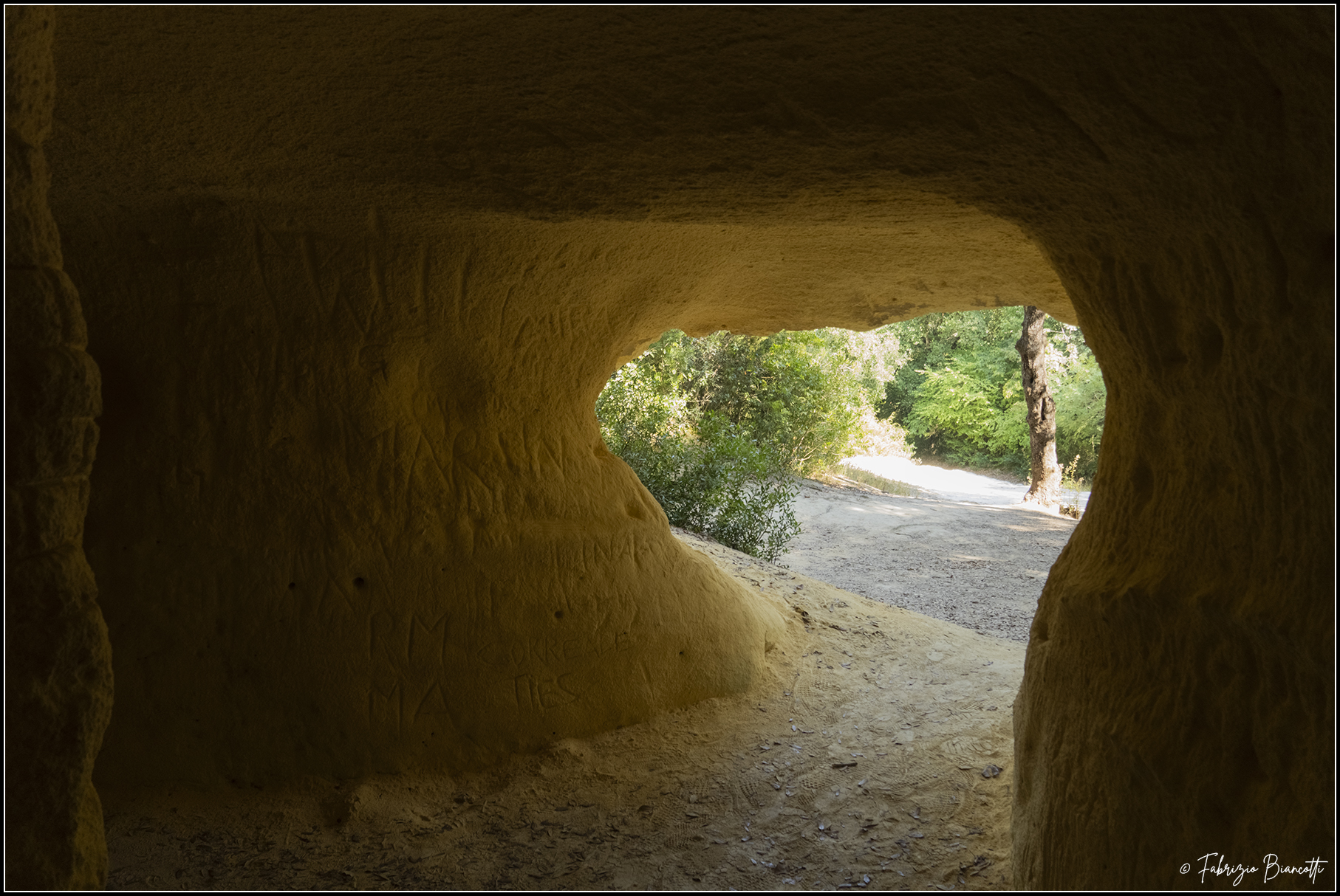 In the Yellow Caves - Bibbona
