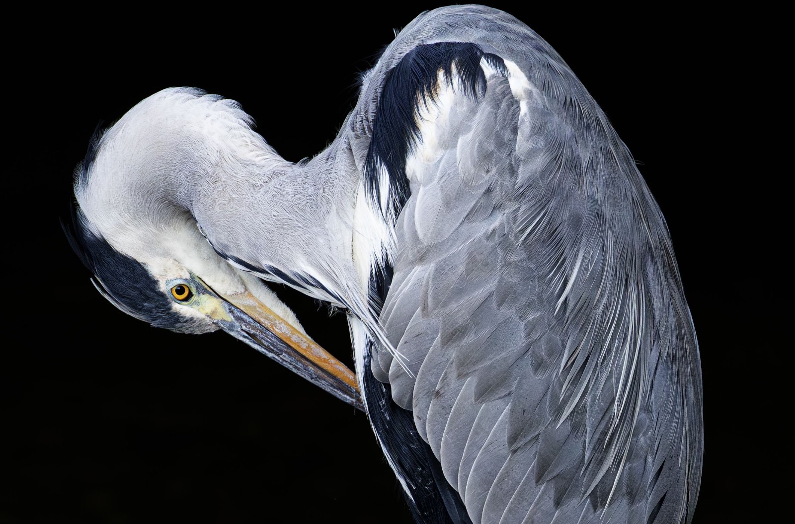 In armonia con la natura