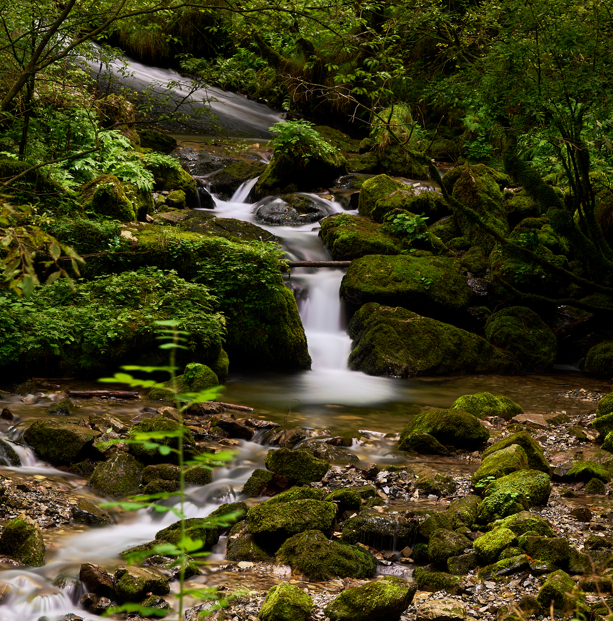 towards the sources of the Enna stream