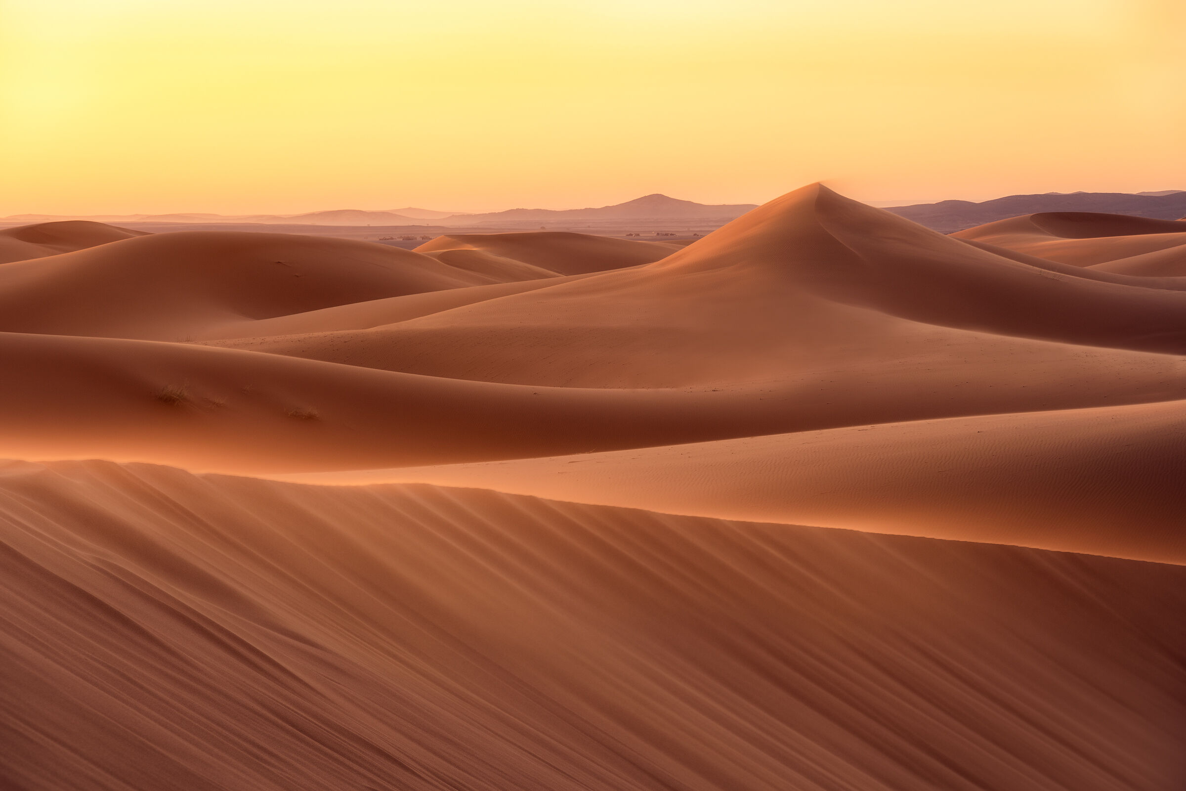 Drawings of the Sahara