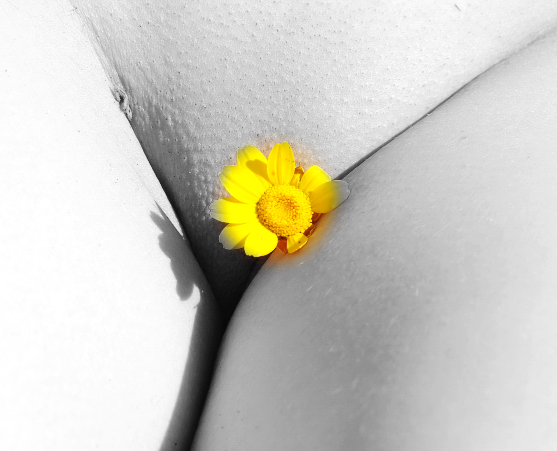 A flower between the lips